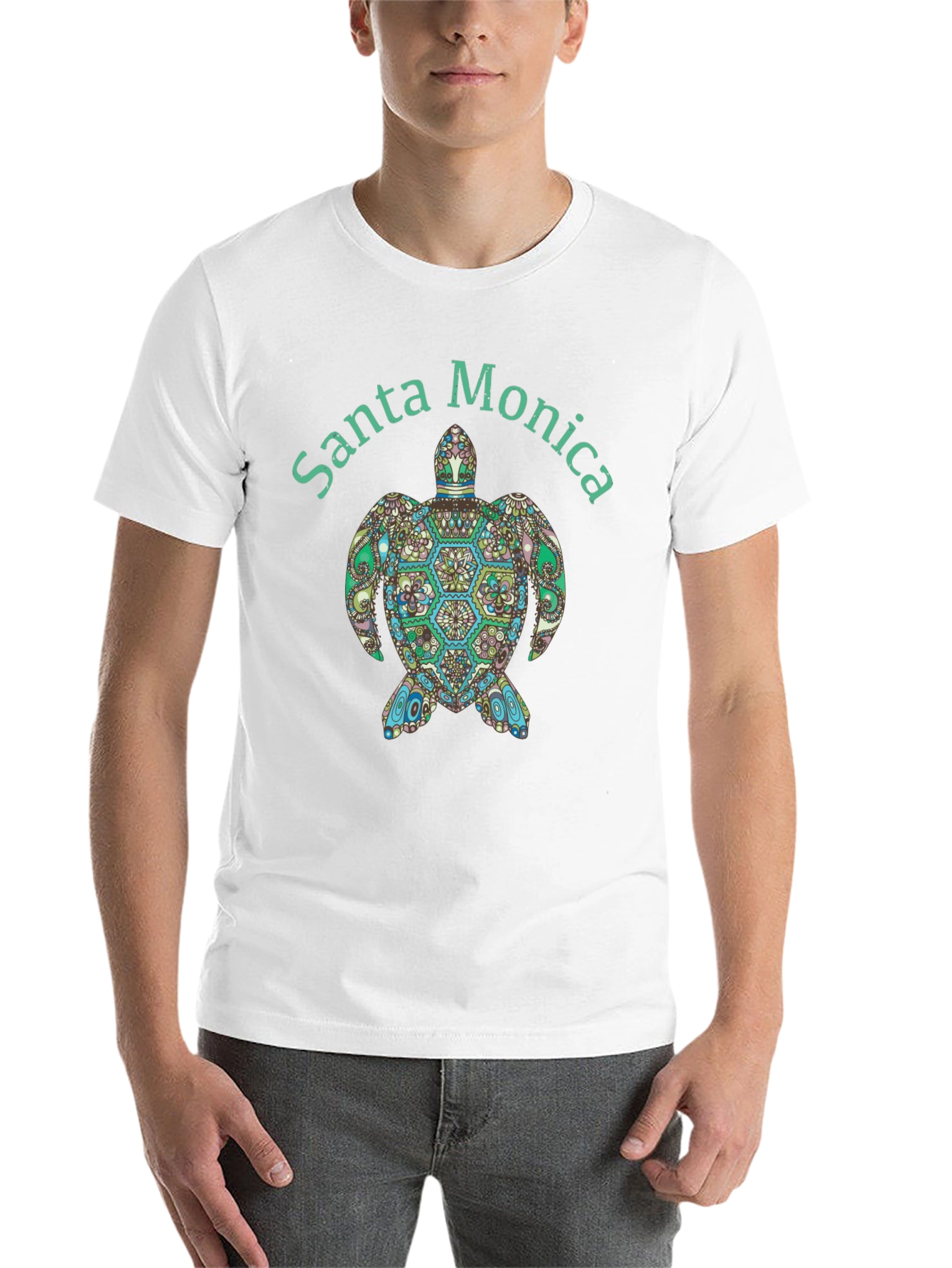 Black Santa Monica Turtle Graphic Tee - Black view 14