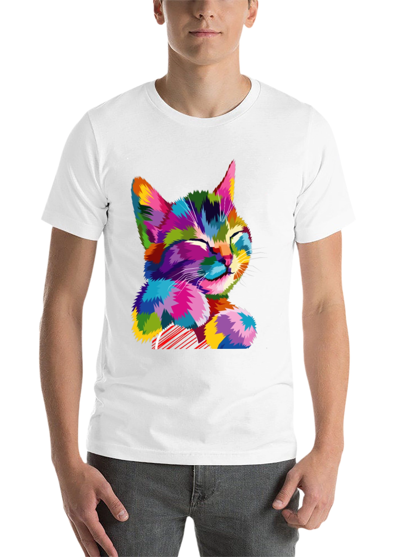 Black Colorful Cat Graphic T-Shirt - Stylish Men's Tee view 14