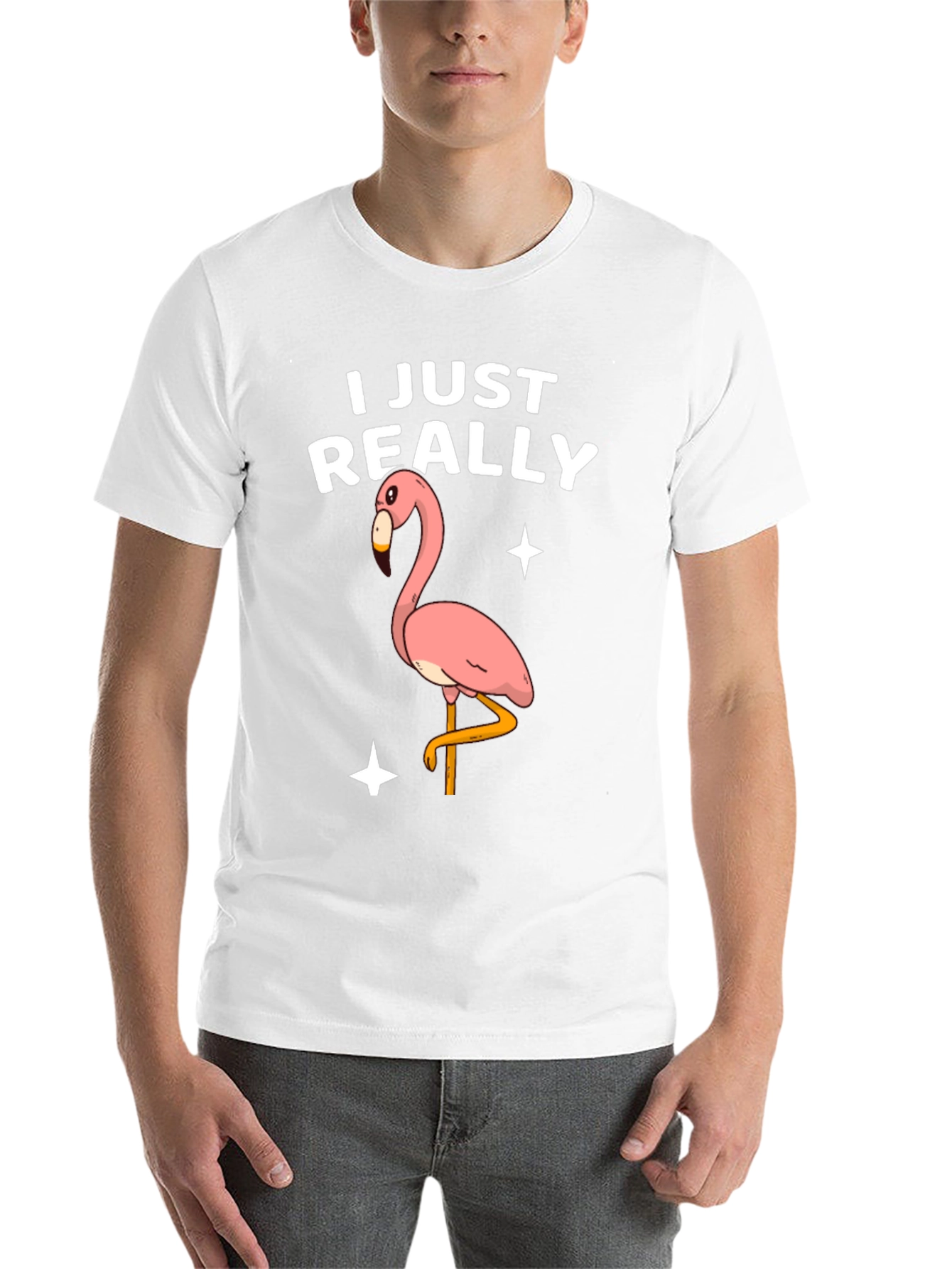 Black Funny Flamingo T-Shirt - I Just Really Like Flamingos view 14