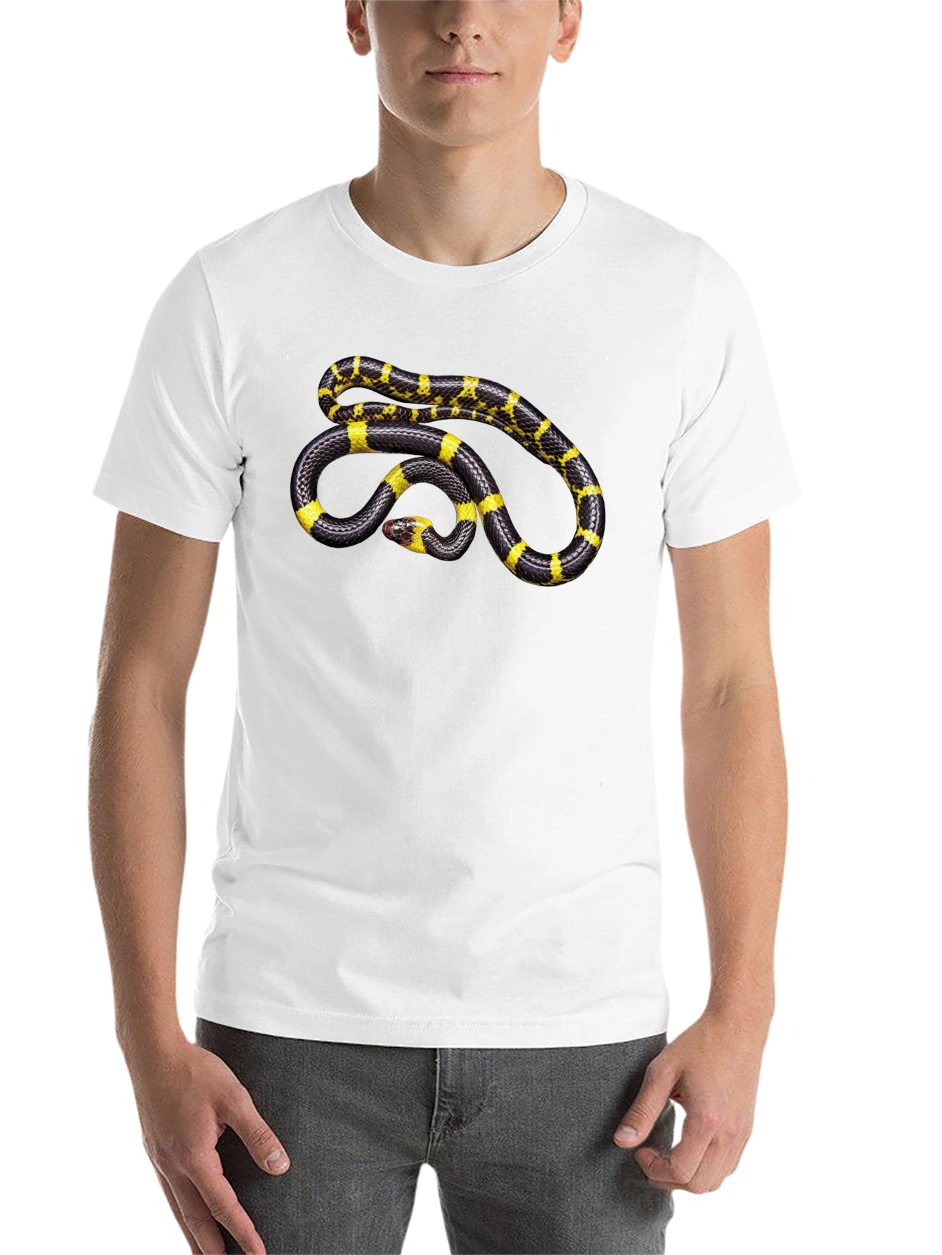 Black Snake Graphic T-Shirt - Black Cotton Tee view 14