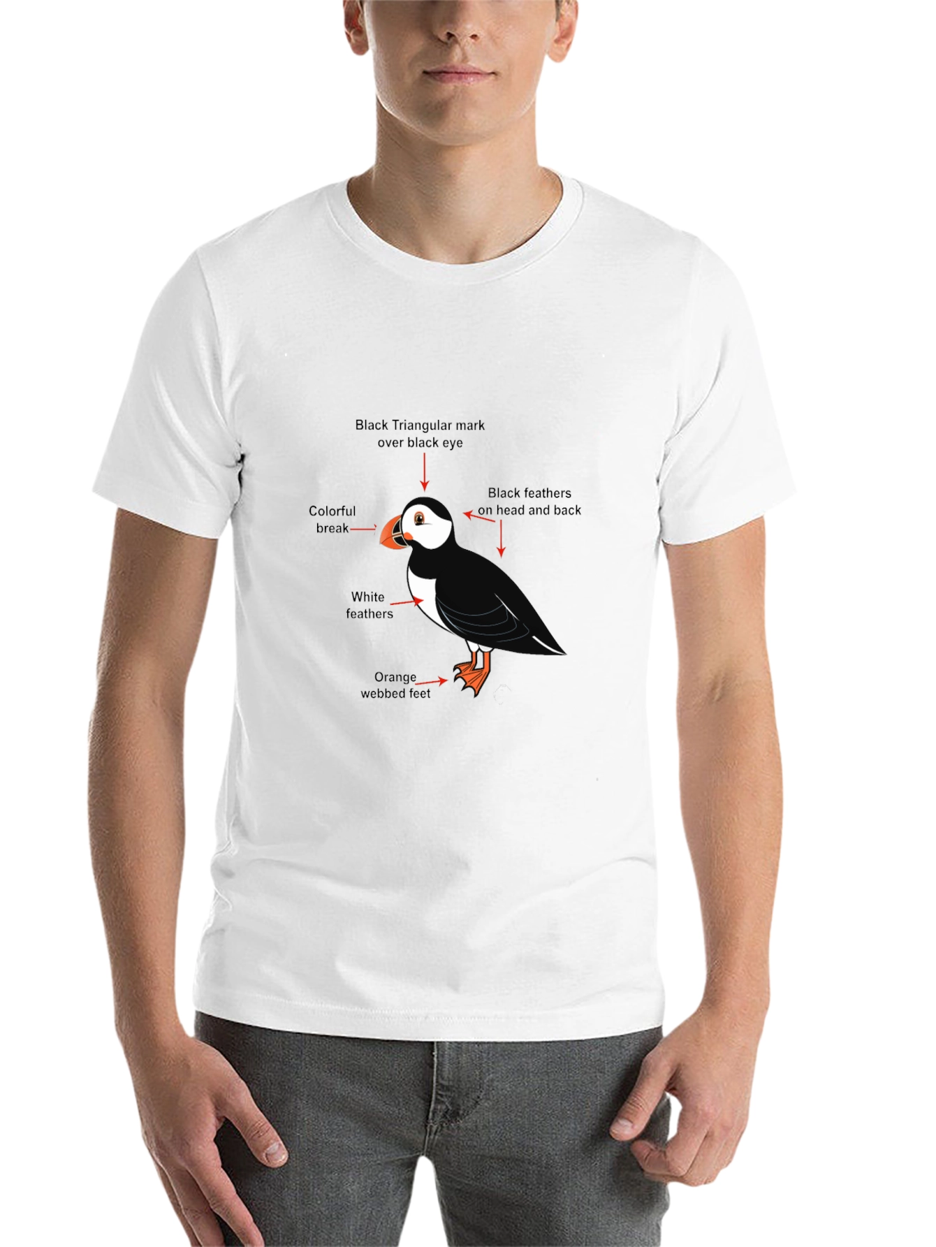 Black Puffin Bird Graphic Tee - Black Cotton Blend T-Shirt view 14