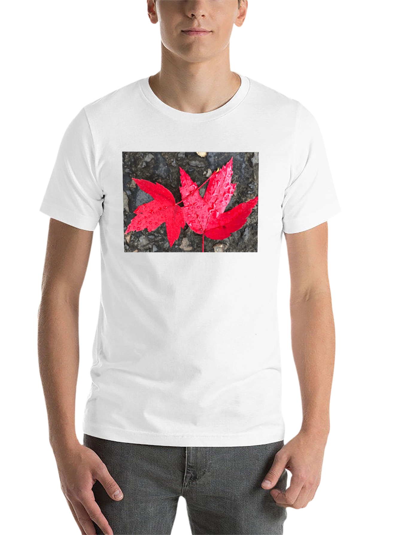 Black Red Maple Leaf Graphic T-Shirt view 14