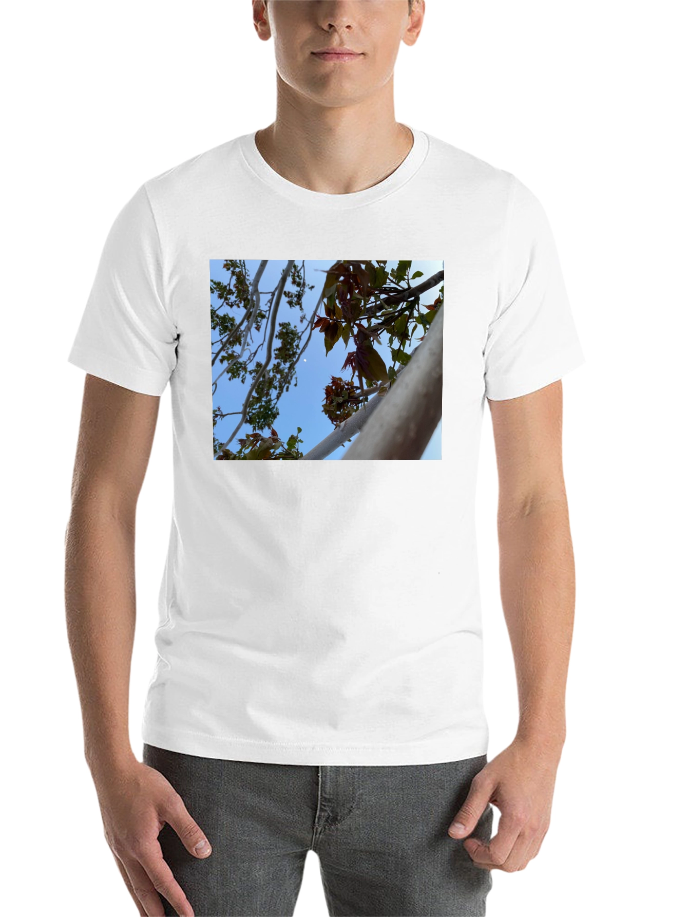Black Nature View T-Shirt - Branches & Sky Design view 14