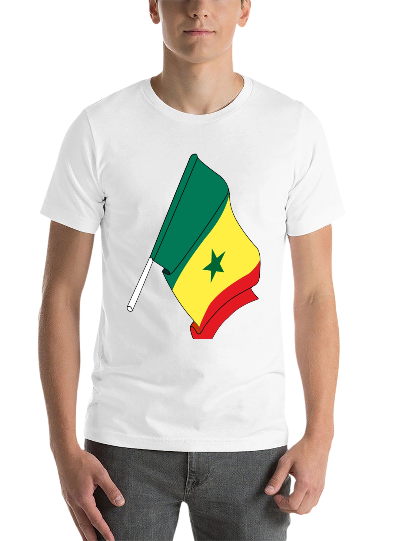 Senegal Flag Graphic Tee - Black Cotton Shirt - 14