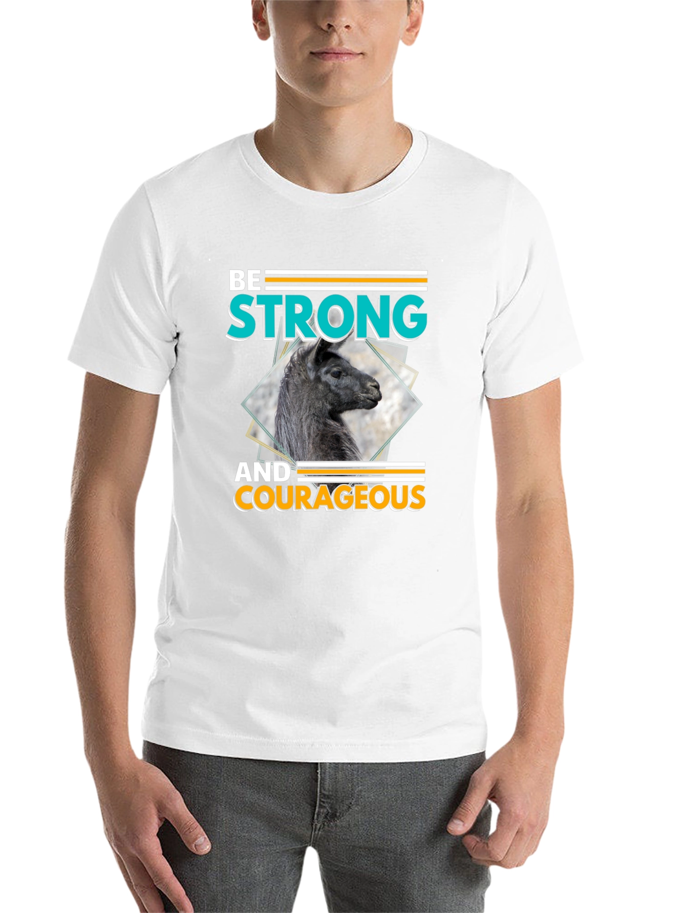 Black Be Strong & Courageous Llama Graphic T-Shirt view 14