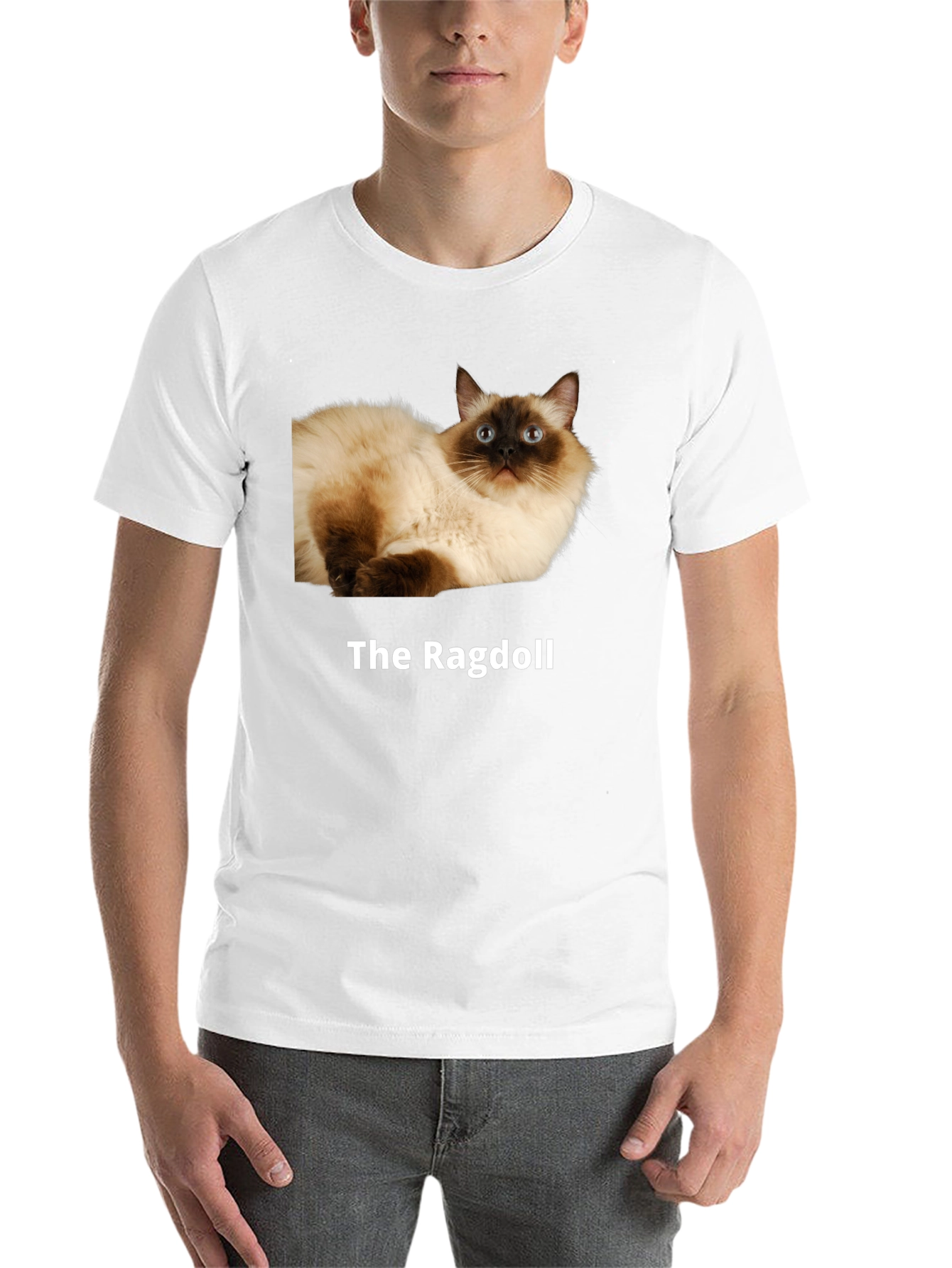 Black Ragdoll Cat T-Shirt - Premium Cotton Blend view 14