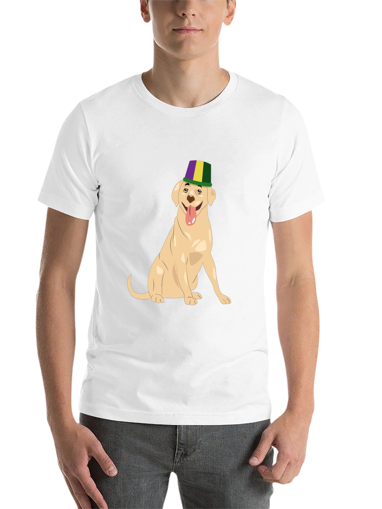 Dog Wearing Mardi Gras Hat Graphic T-Shirt - 14
