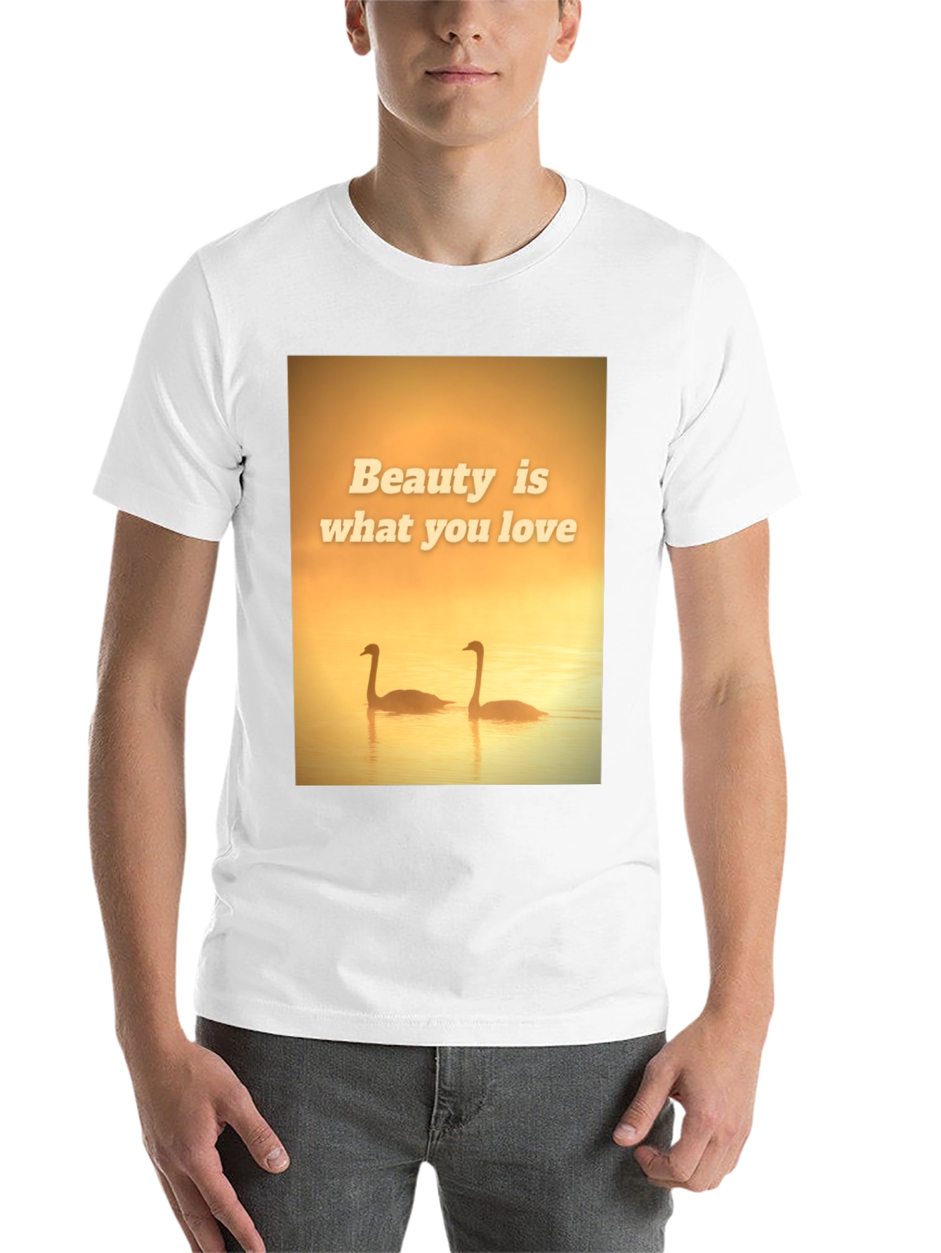 Black Beauty Swans Graphic T-Shirt view 14