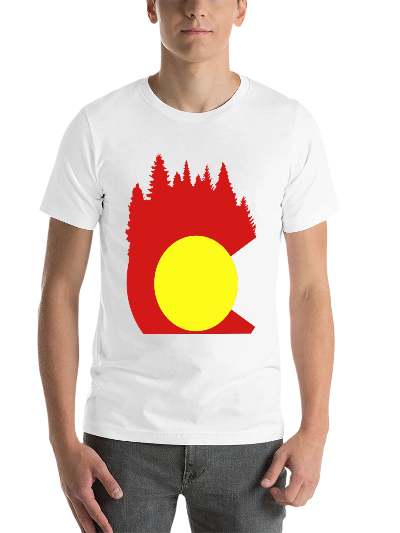 Black Colorado Trees Men's Black Graphic T-Shirt view 14