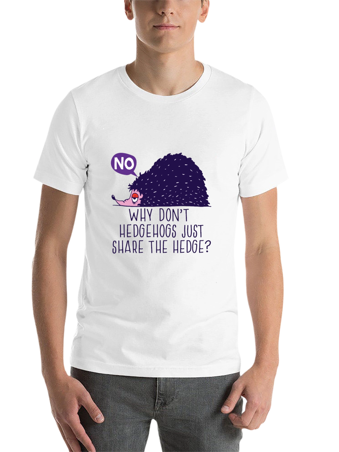 Black Humorous Hedgehog Graphic Tee - "Why Don't Hedgehogs Just Share The Hedge?" view 14