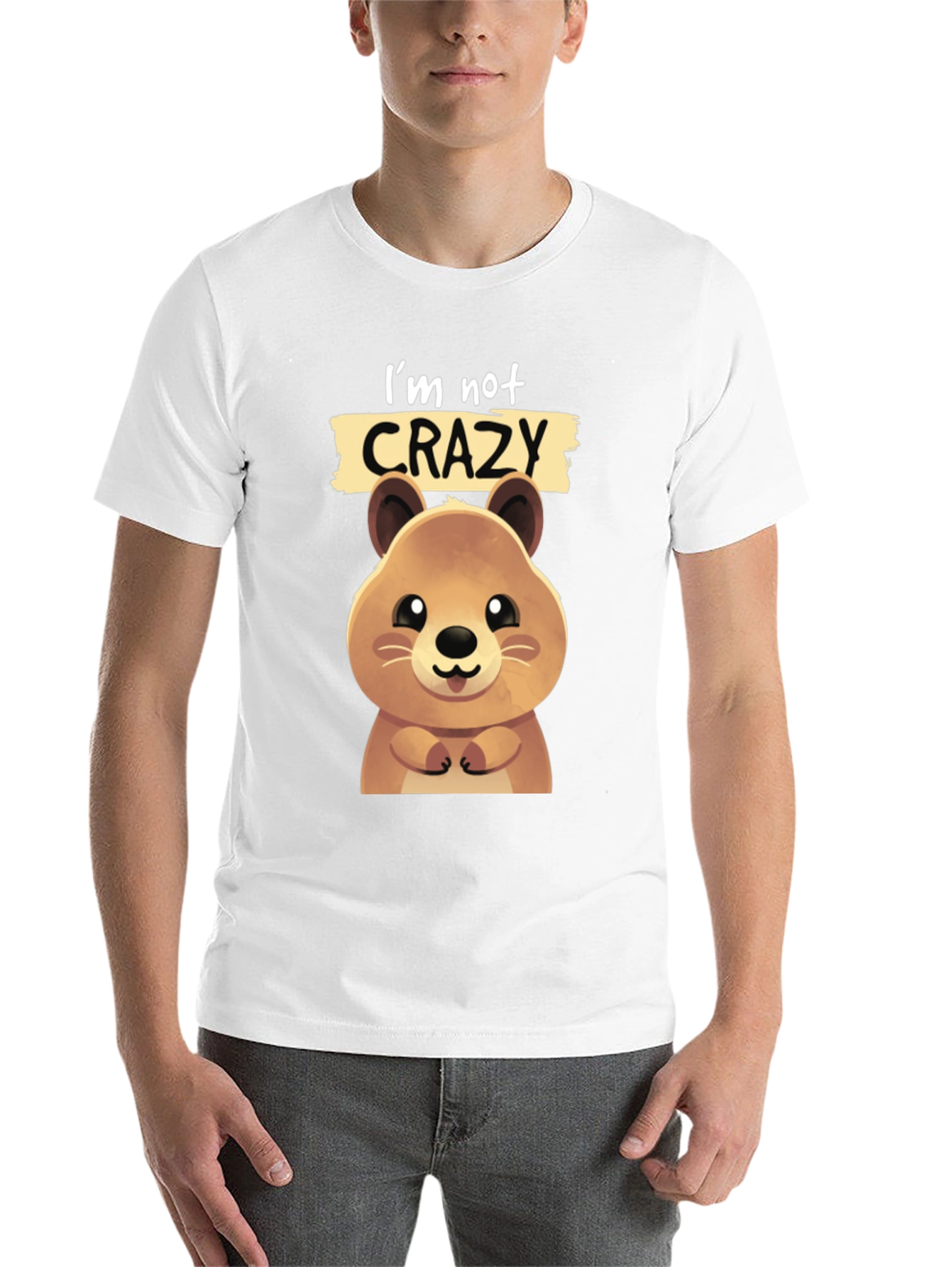 Black Cute Quokka 'I'm Not Crazy' Graphic T-Shirt view 14