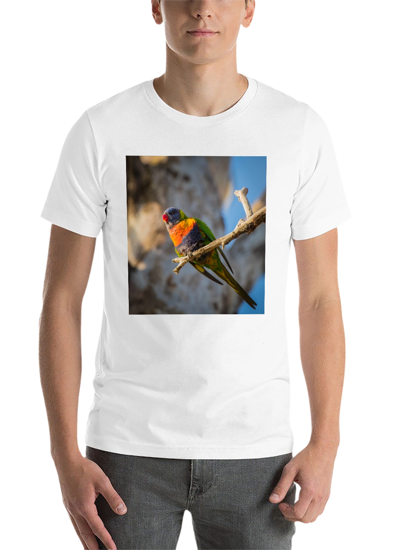 Black Rainbow Lorikeet T-Shirt - Nature Inspired Apparel view 14
