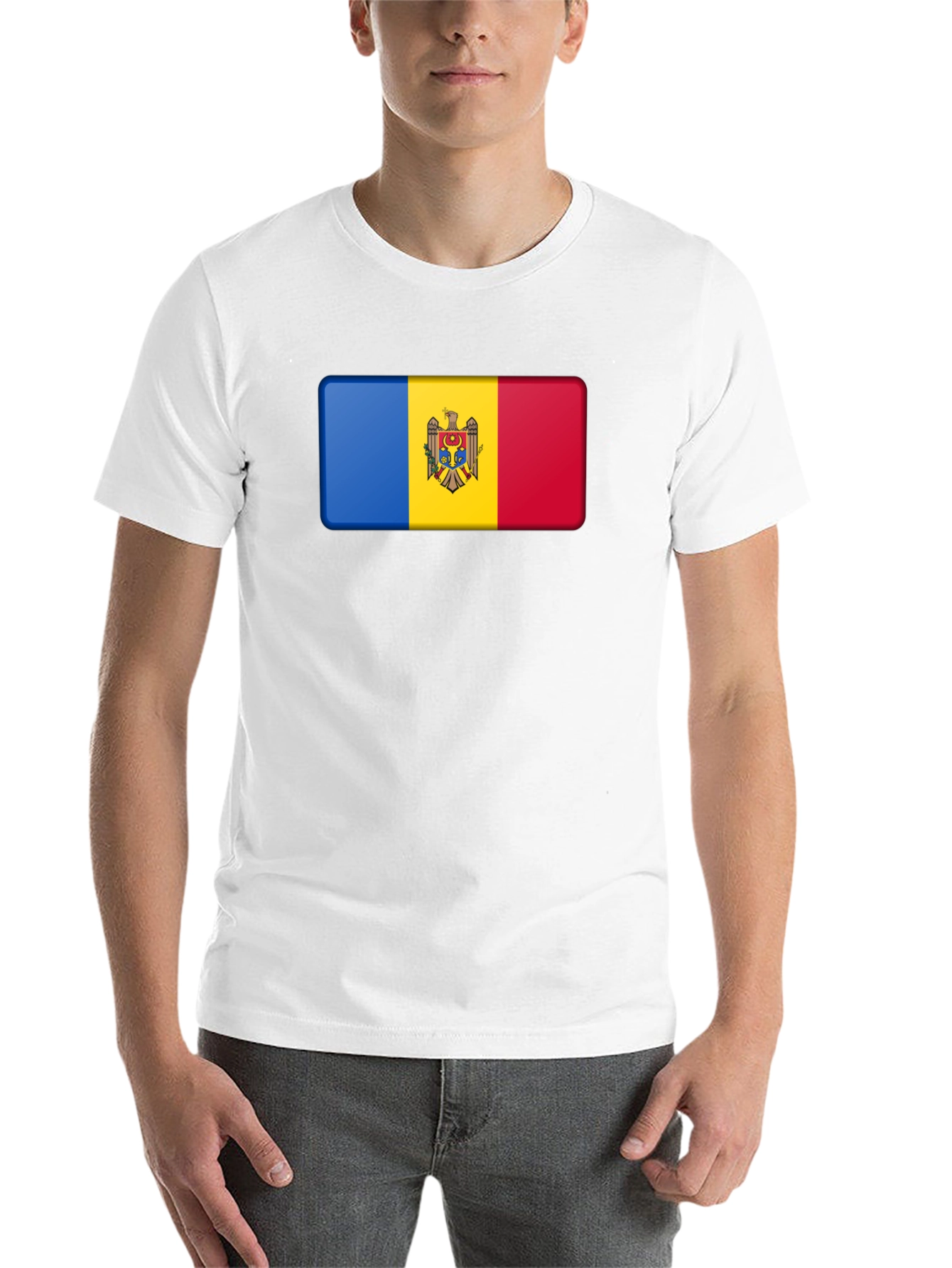 Black Moldova Flag T-Shirt - Black Cotton Tee view 14