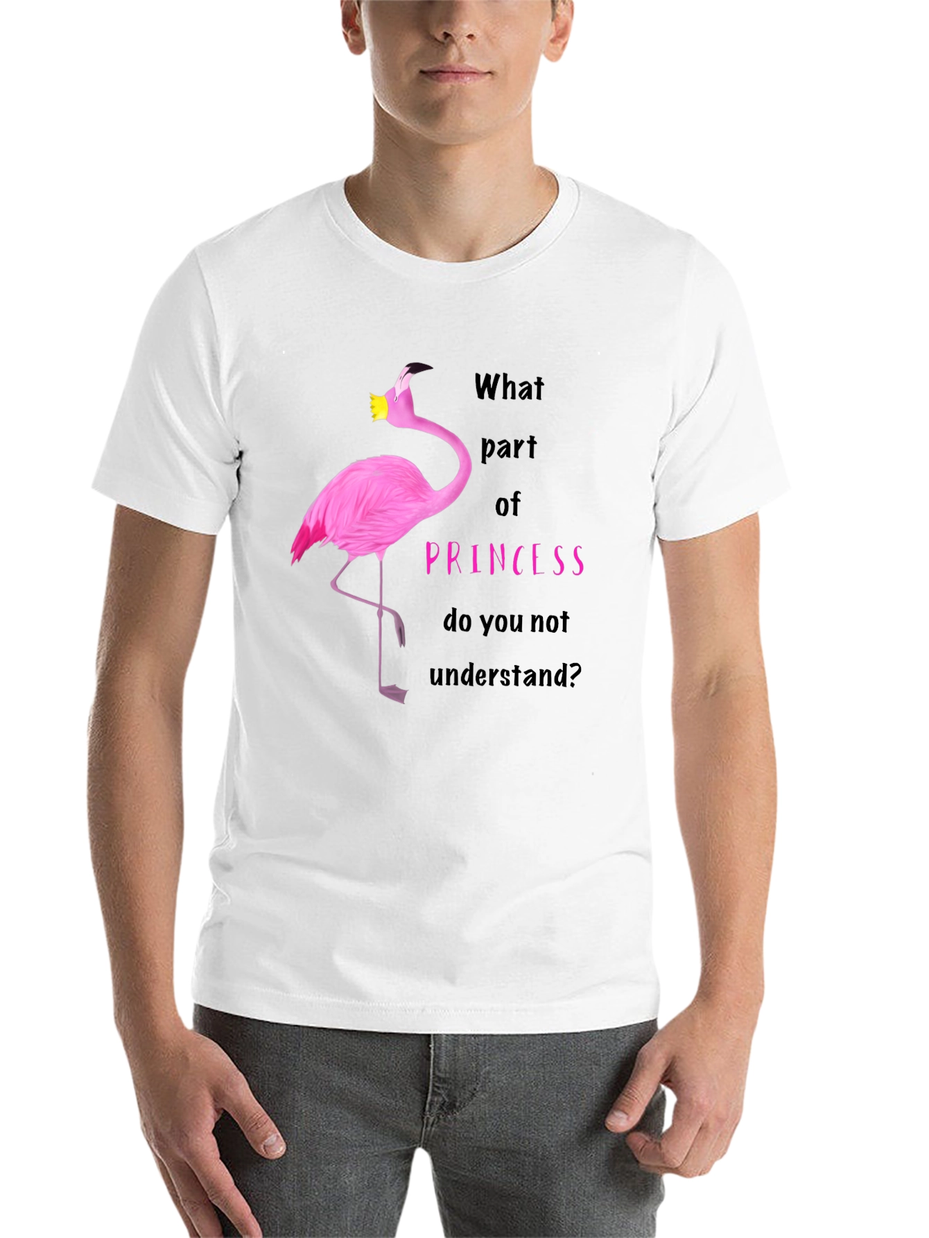 Black Flamingo Princess T-Shirt - What Part Do You Not Understand? view 14