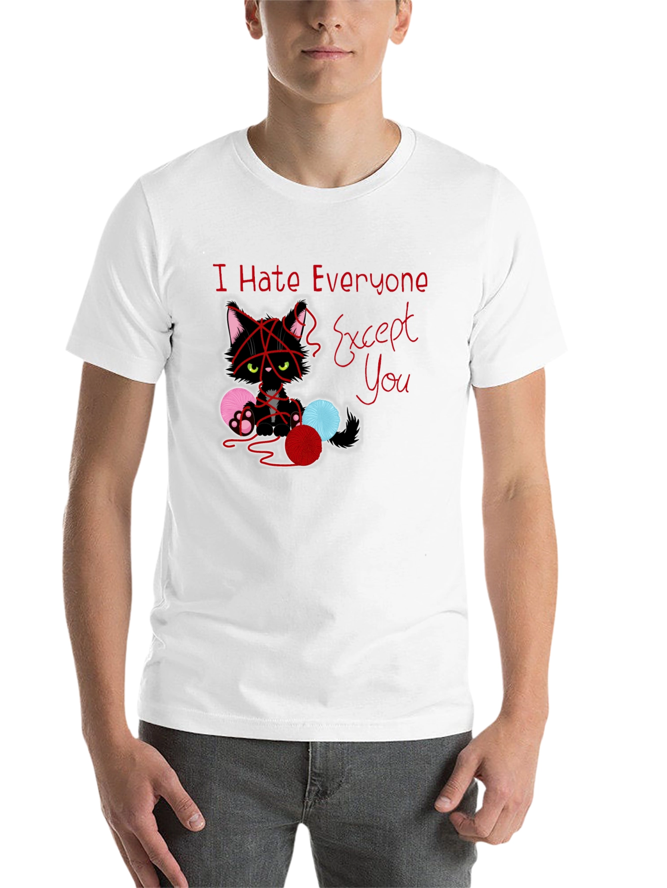 Black I Hate Everyone Except You Cat T-Shirt view 14