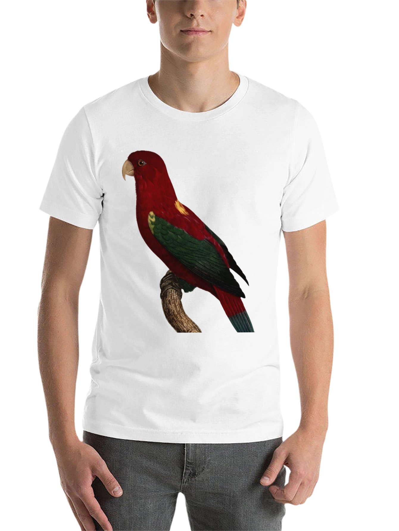 Black Parrot Print Crewneck T-Shirt view 14