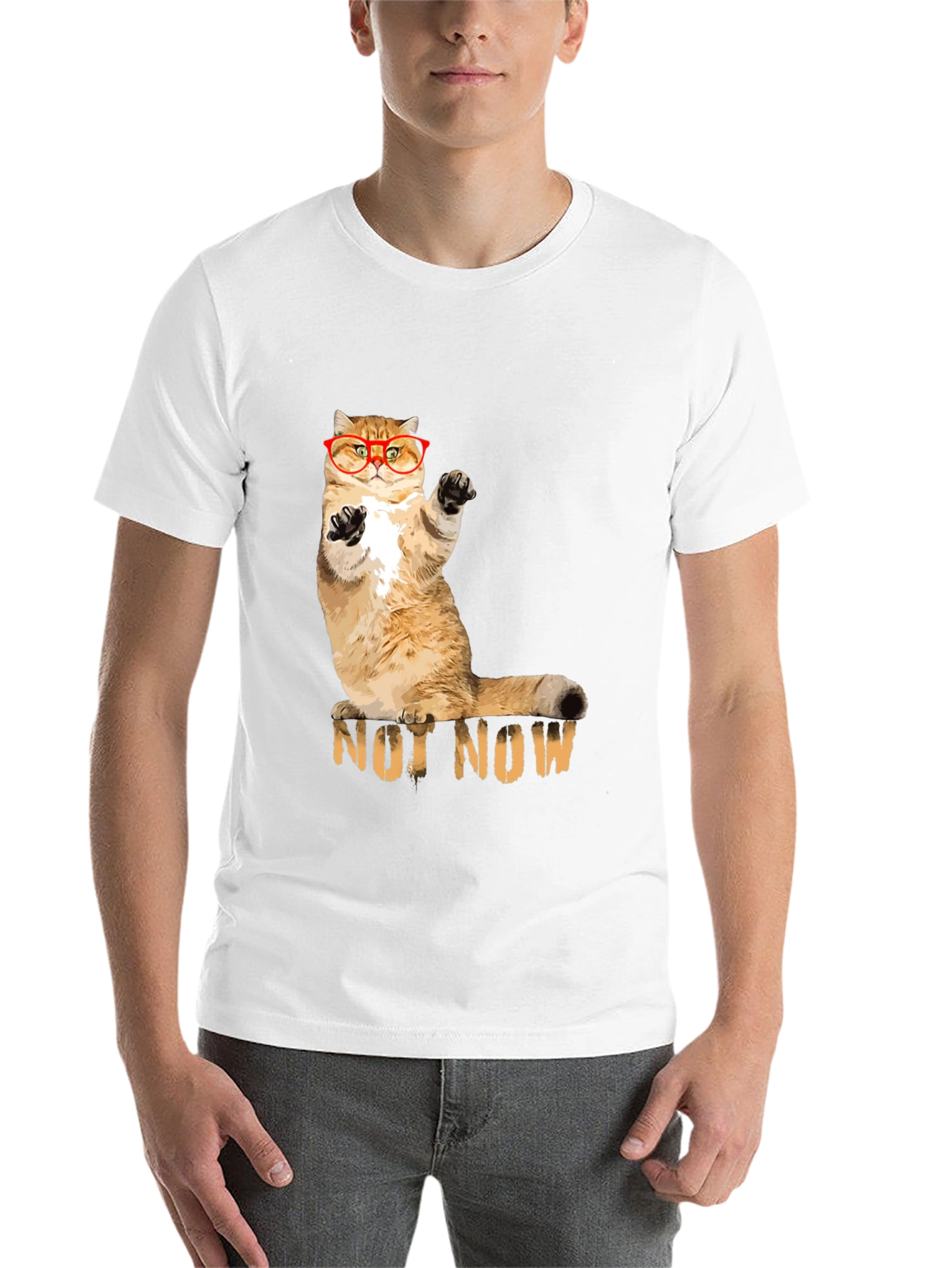 Black Not Now Cat T-Shirt - Funny Cat Lover Tee view 14