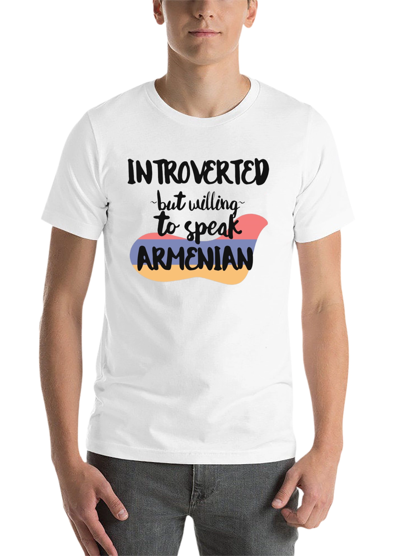 Black Introvert Armenian Flag T-Shirt view 14