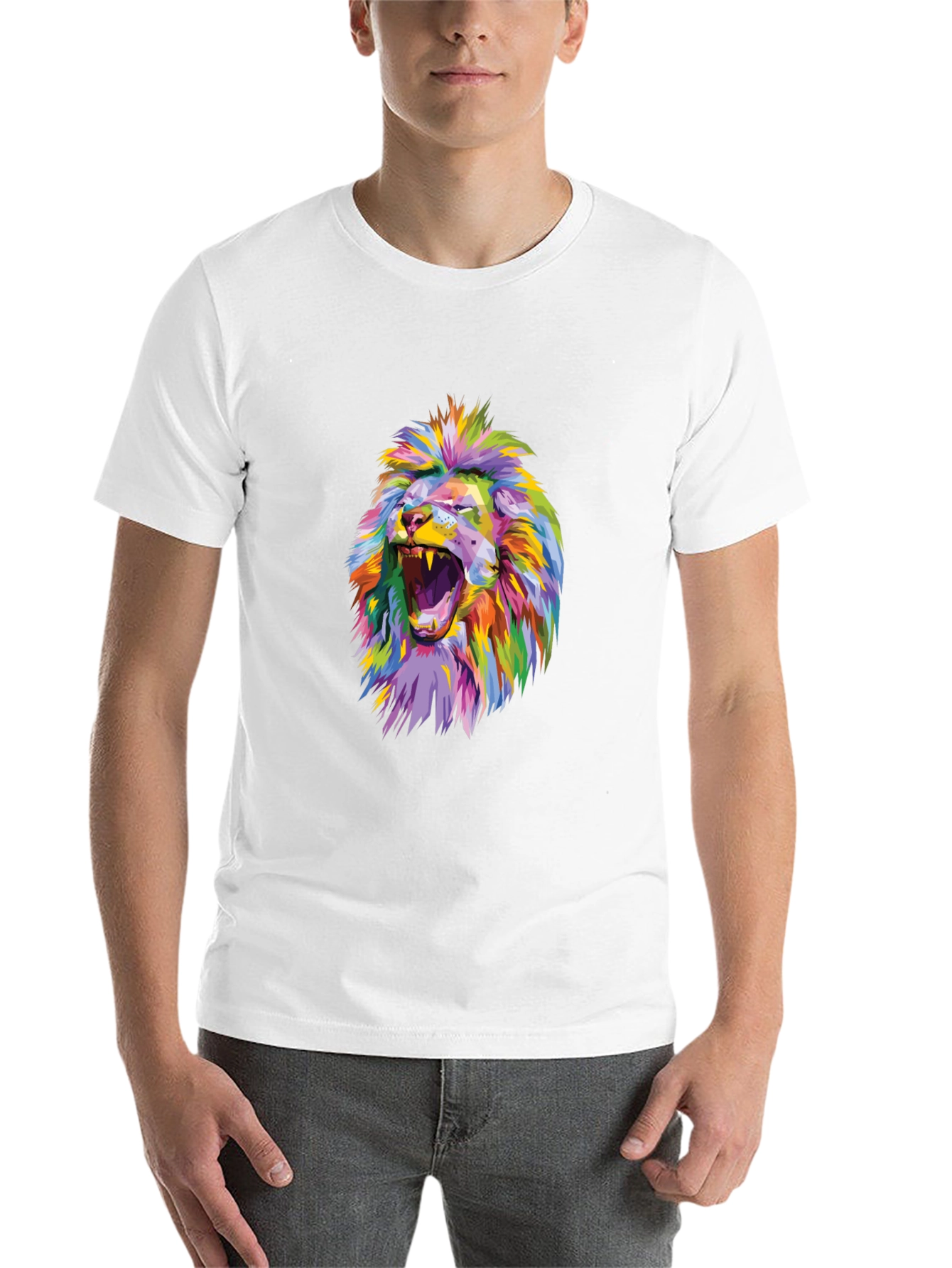 Black Colorful Lion Graphic Print Black T-Shirt view 14