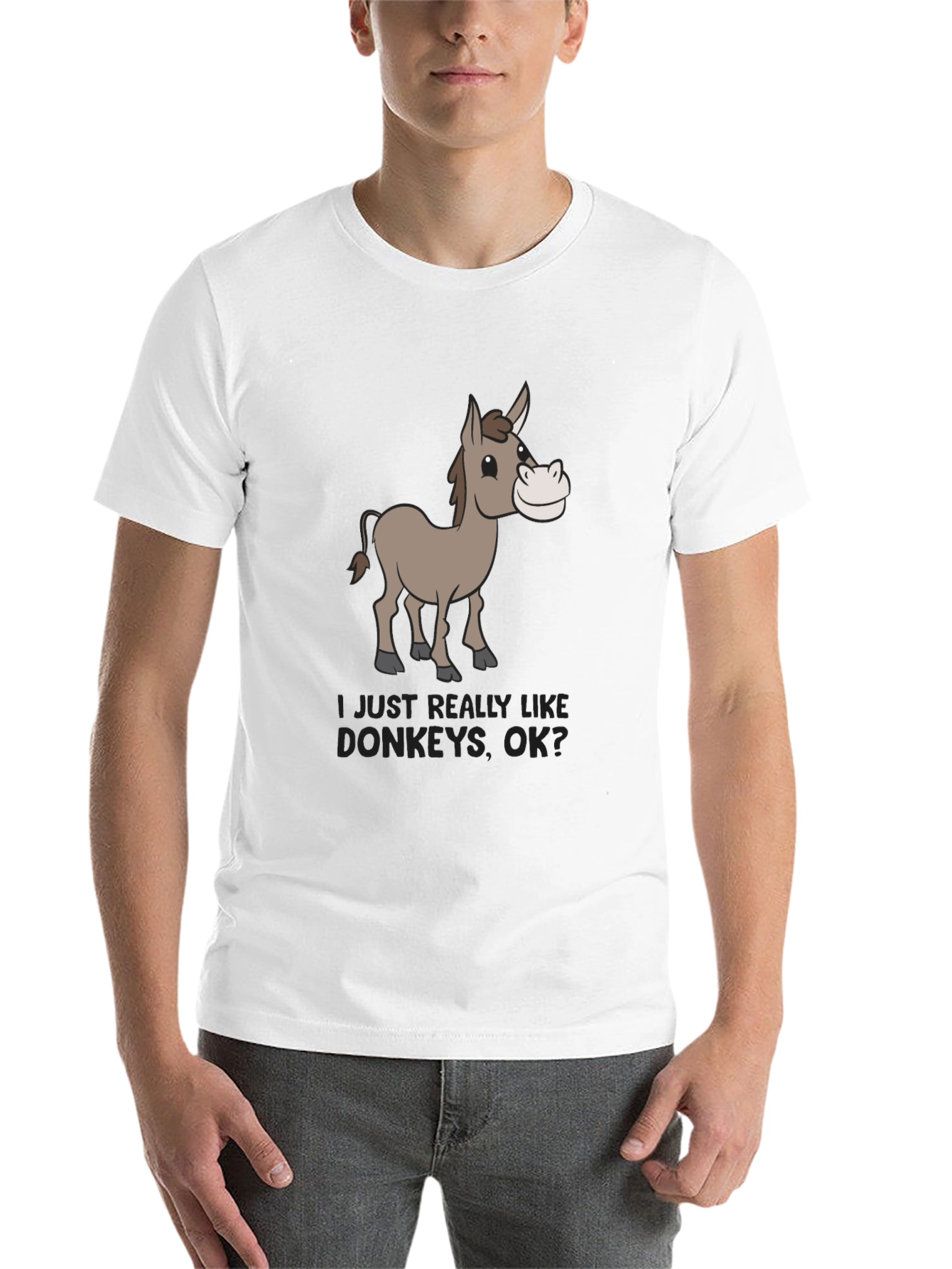 Black Funny Donkey Lover Graphic Tee - Black view 14