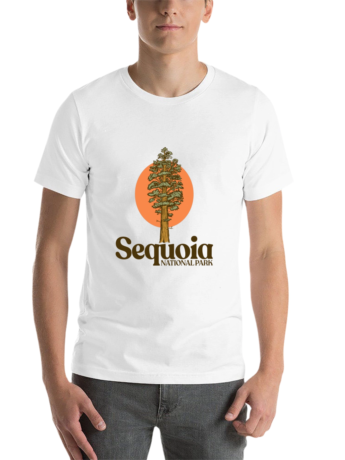 Black Sequoia National Park Tree Graphic Tee view 14