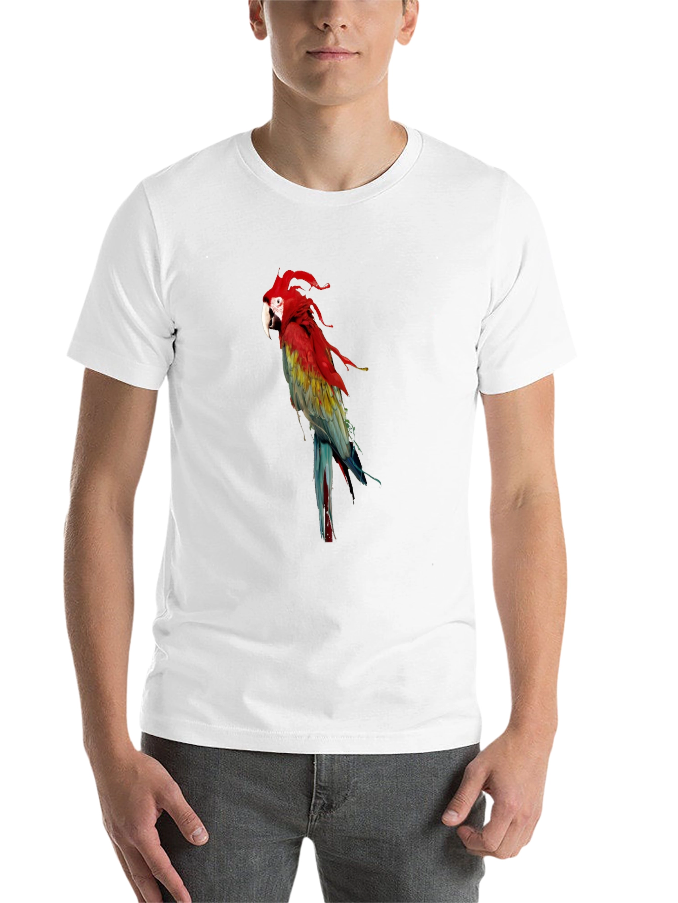 Black Parrot Graphic Tee - Vivid Bird Print T-Shirt view 14