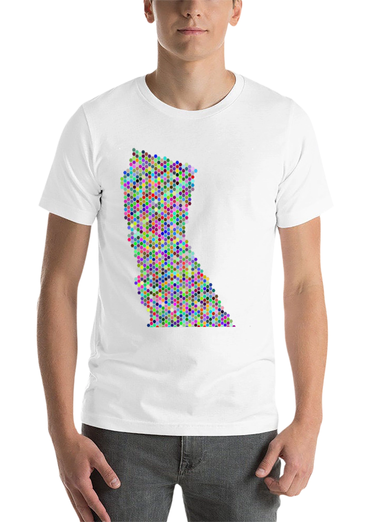 Black Colorful Dot Pattern State Graphic Tee view 14