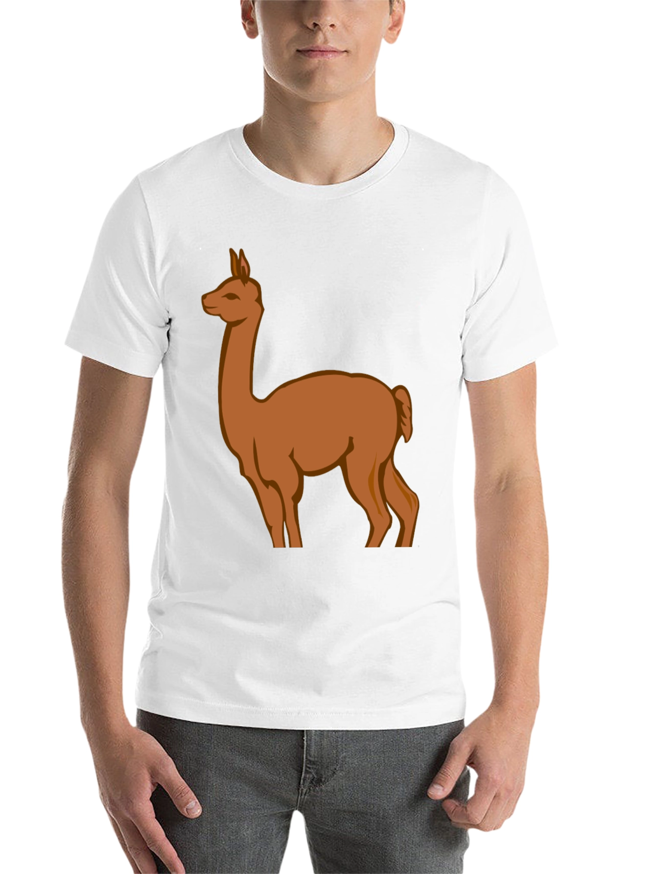 Black Llama Graphic Tee - Black Cotton Blend view 14