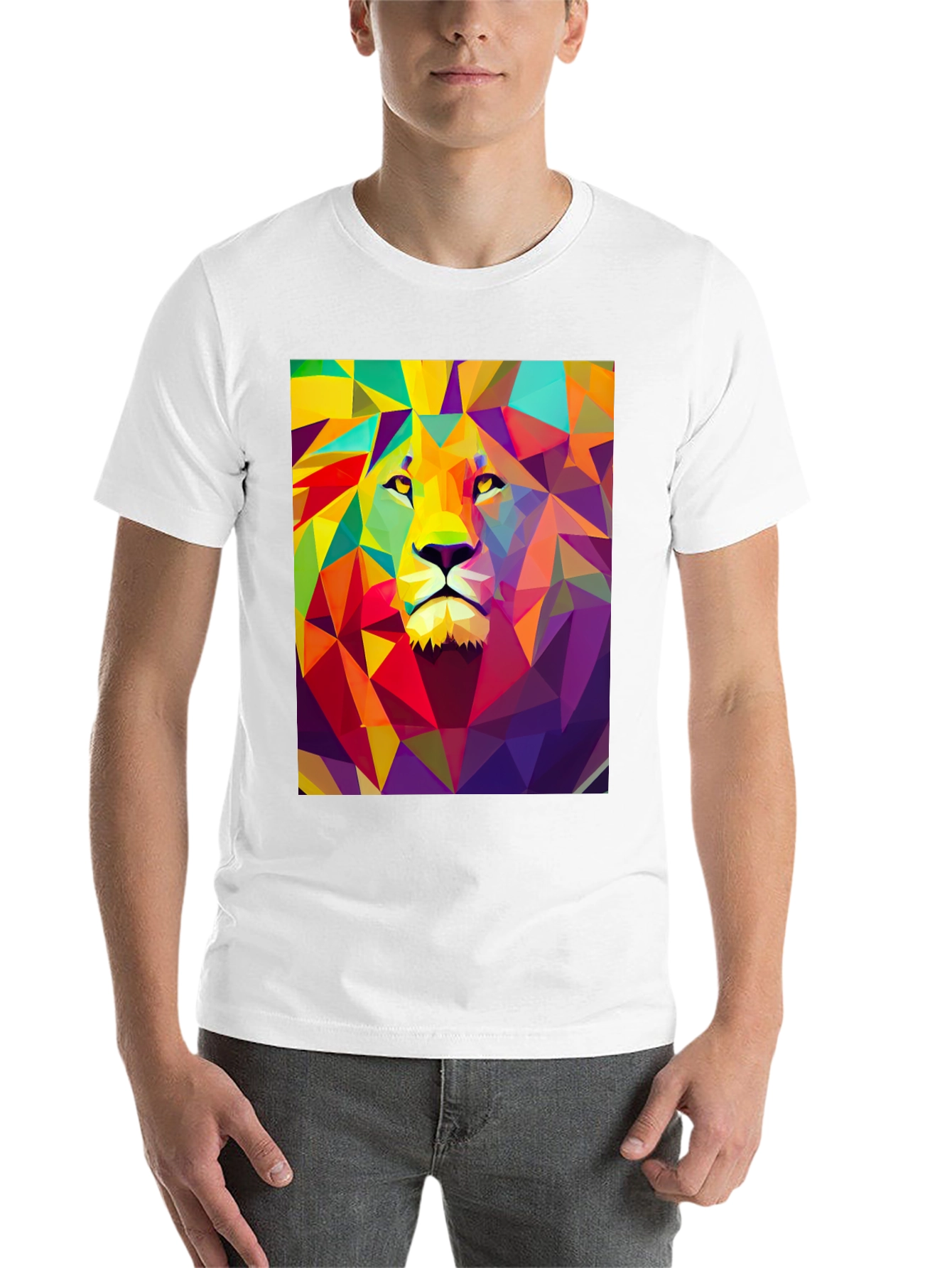 Black Geometric Lion Graphic Tee - Black Cotton Comfort view 14