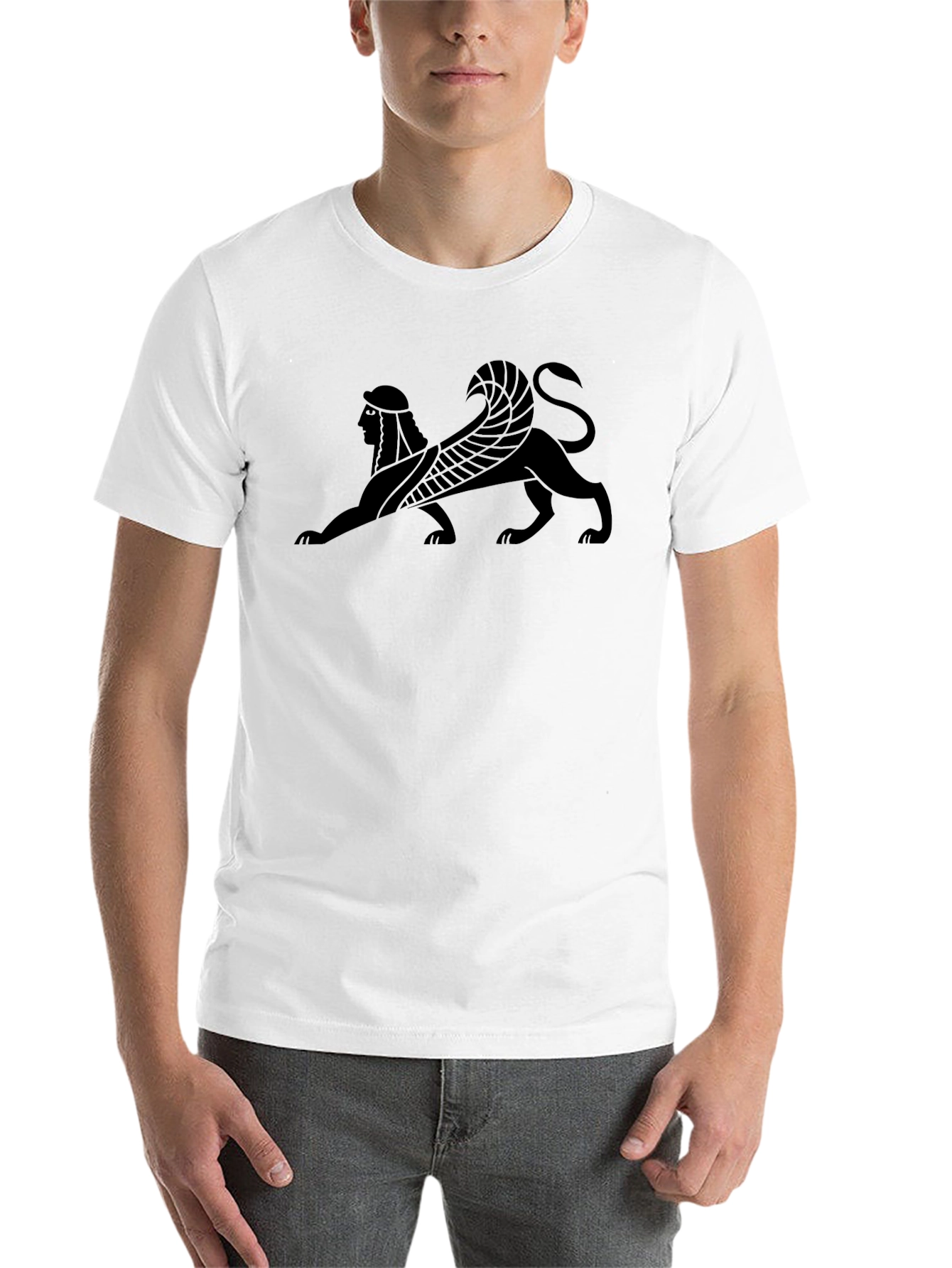 Black Sphinx Graphic Tee - Black Cotton T-Shirt view 14