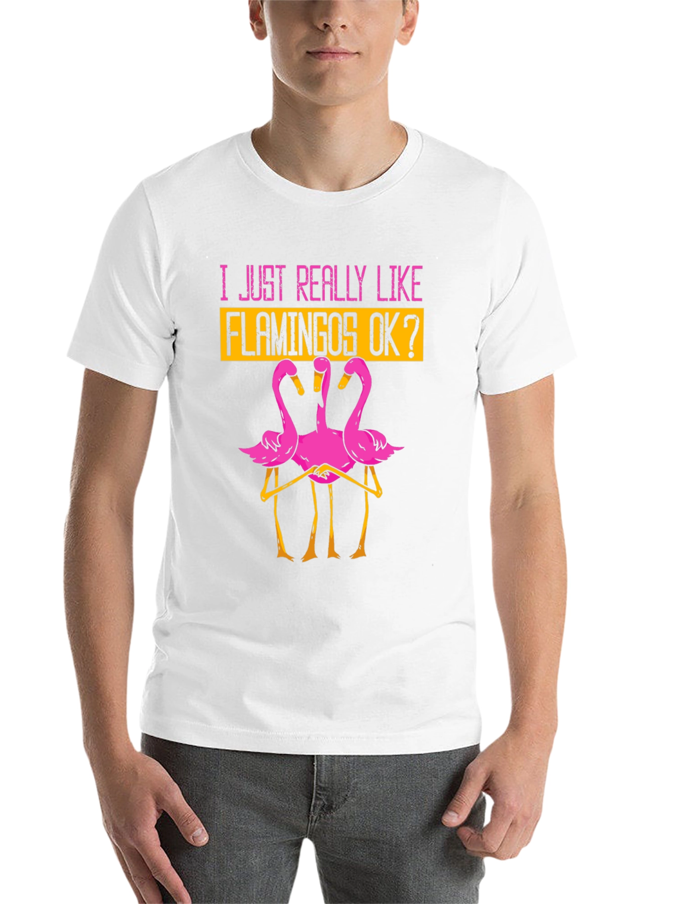 Black Funny Flamingo Graphic T-Shirt - I Just Really Like Flamingos OK? view 14