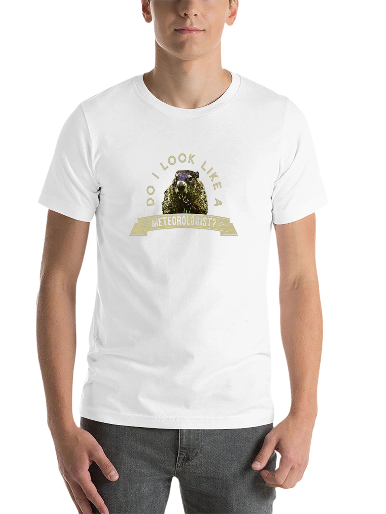 Black Funny Groundhog Meteorologist Graphic Tee view 14