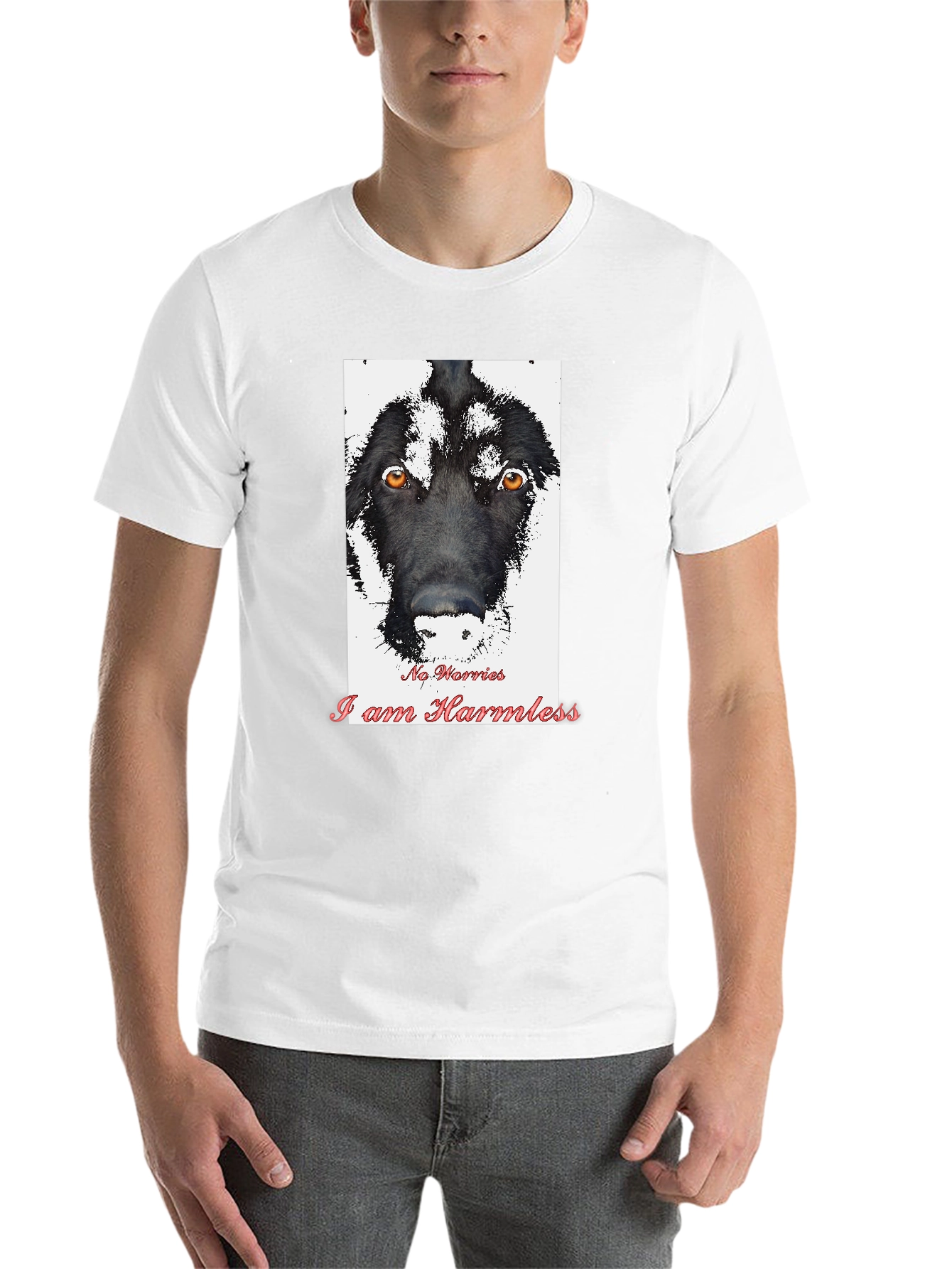 Black Harmless Dog Graphic T-Shirt view 14