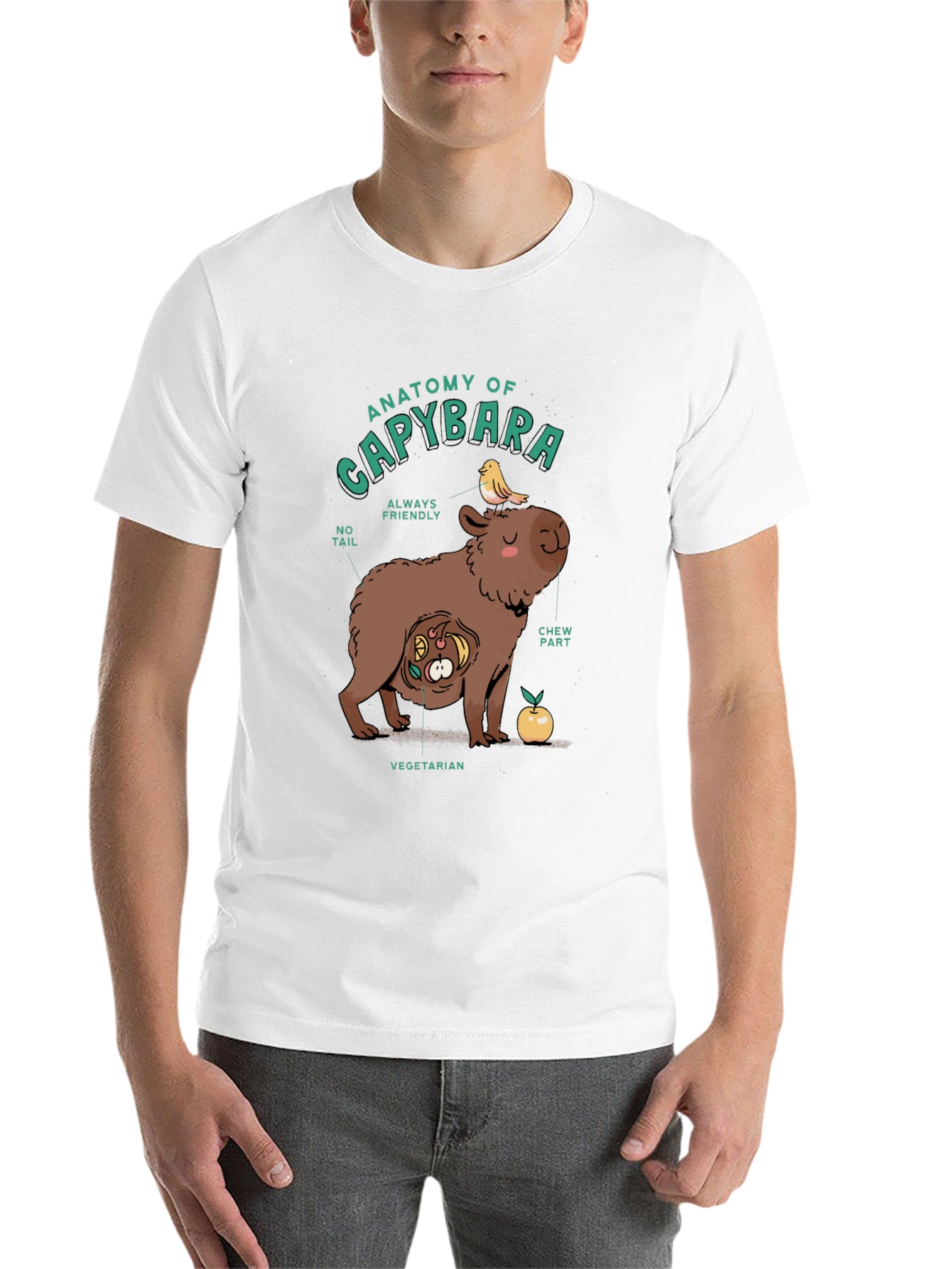 Black Anatomy of a Capybara Graphic T-Shirt view 14