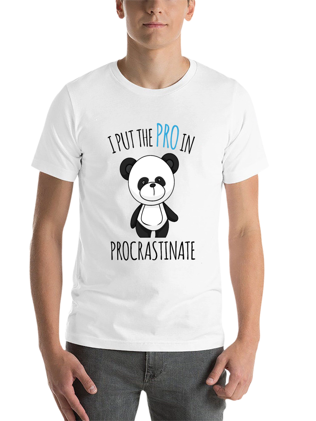 Black Funny Panda Procrastinate Graphic T-Shirt view 14
