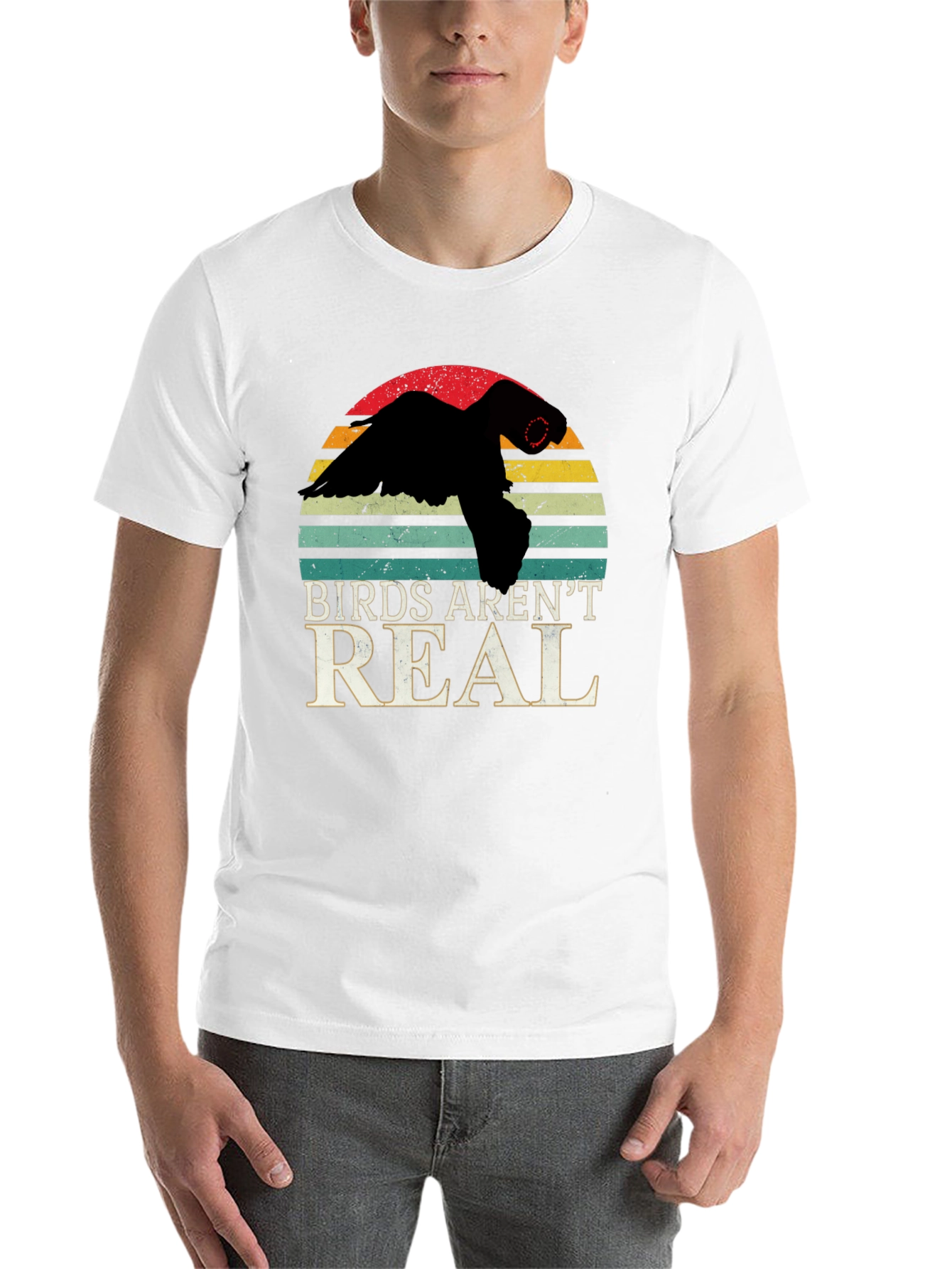 Black Birds Aren't Real T-Shirt Conspiracy Funny Gift view 14