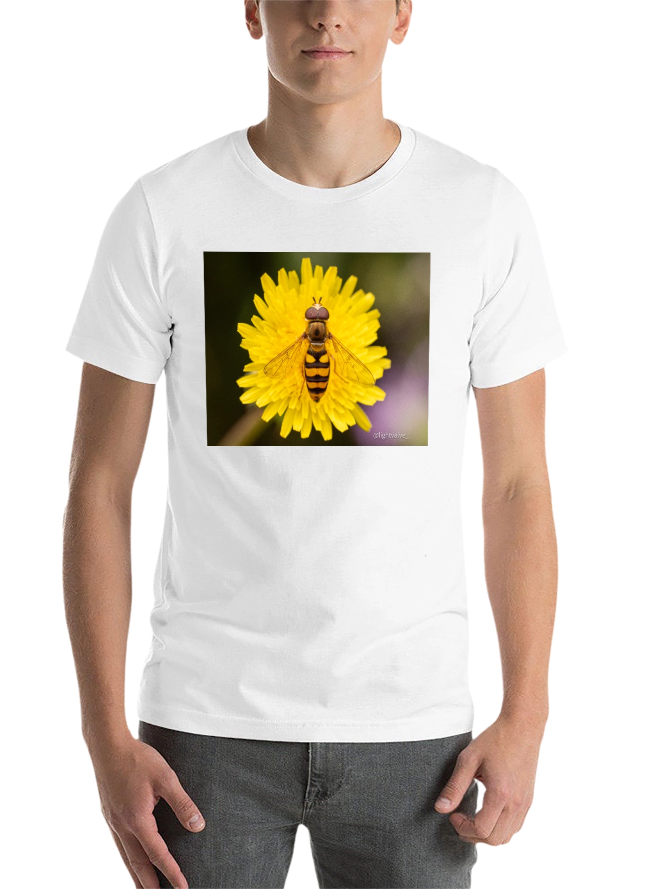 Black Bee on Flower Graphic Tee - Black Cotton T-Shirt view 14