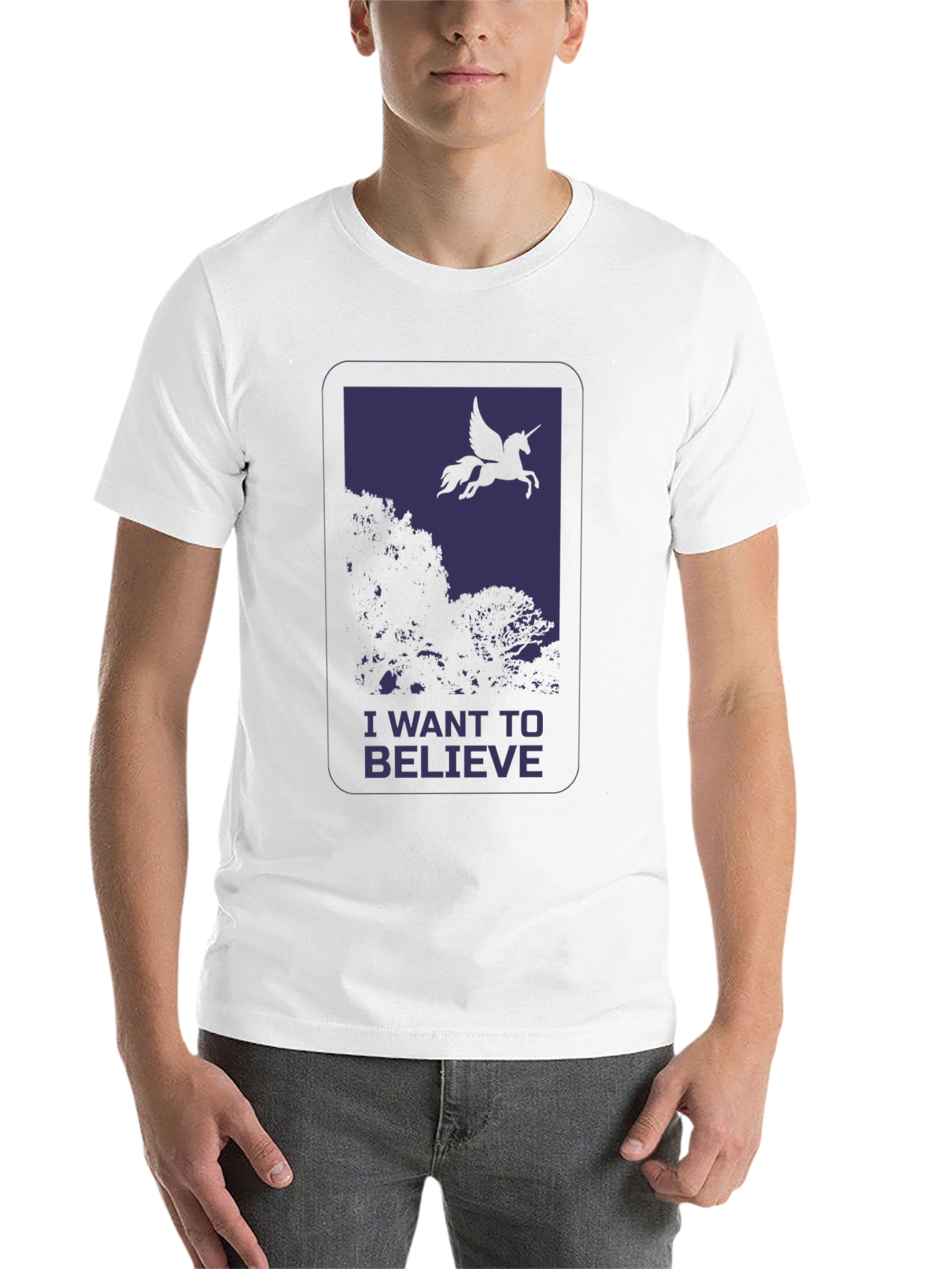 Black I Want to Believe Pegasus Graphic T-Shirt view 14