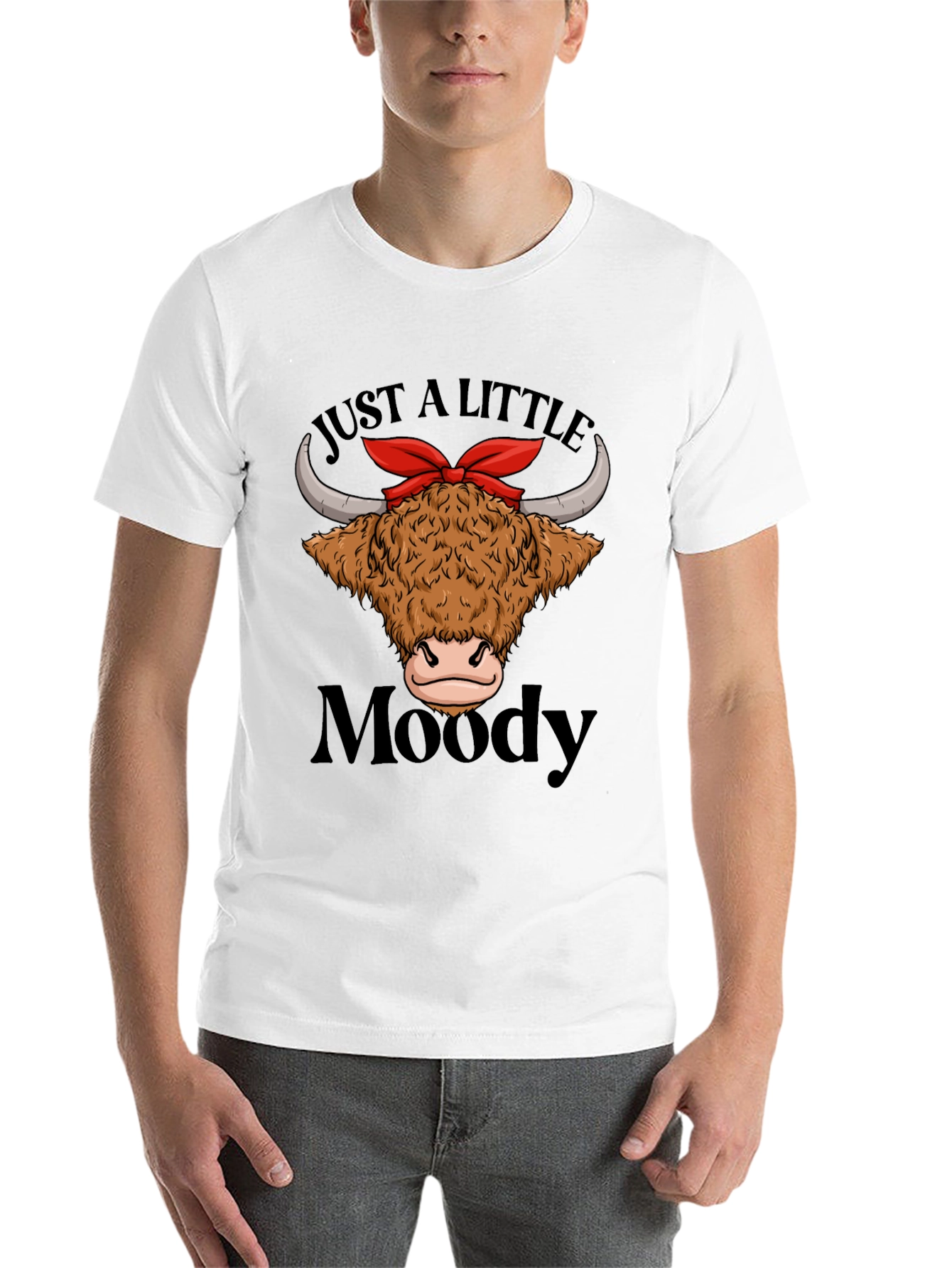 Black Moody Highland Cow T-Shirt Funny Graphic Tee view 14