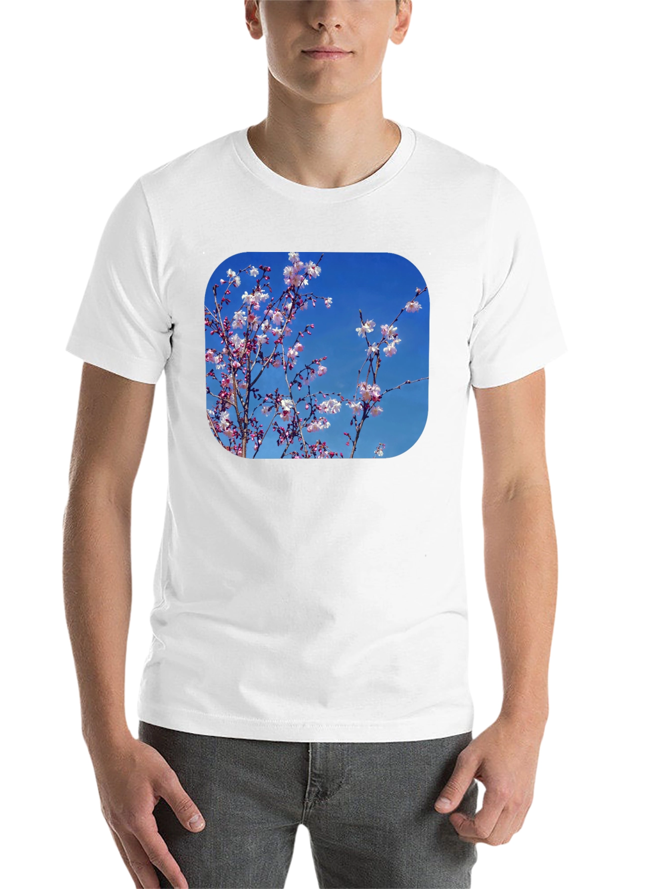Black Blossom Tee - Black Cotton Blend with Floral Print view 14