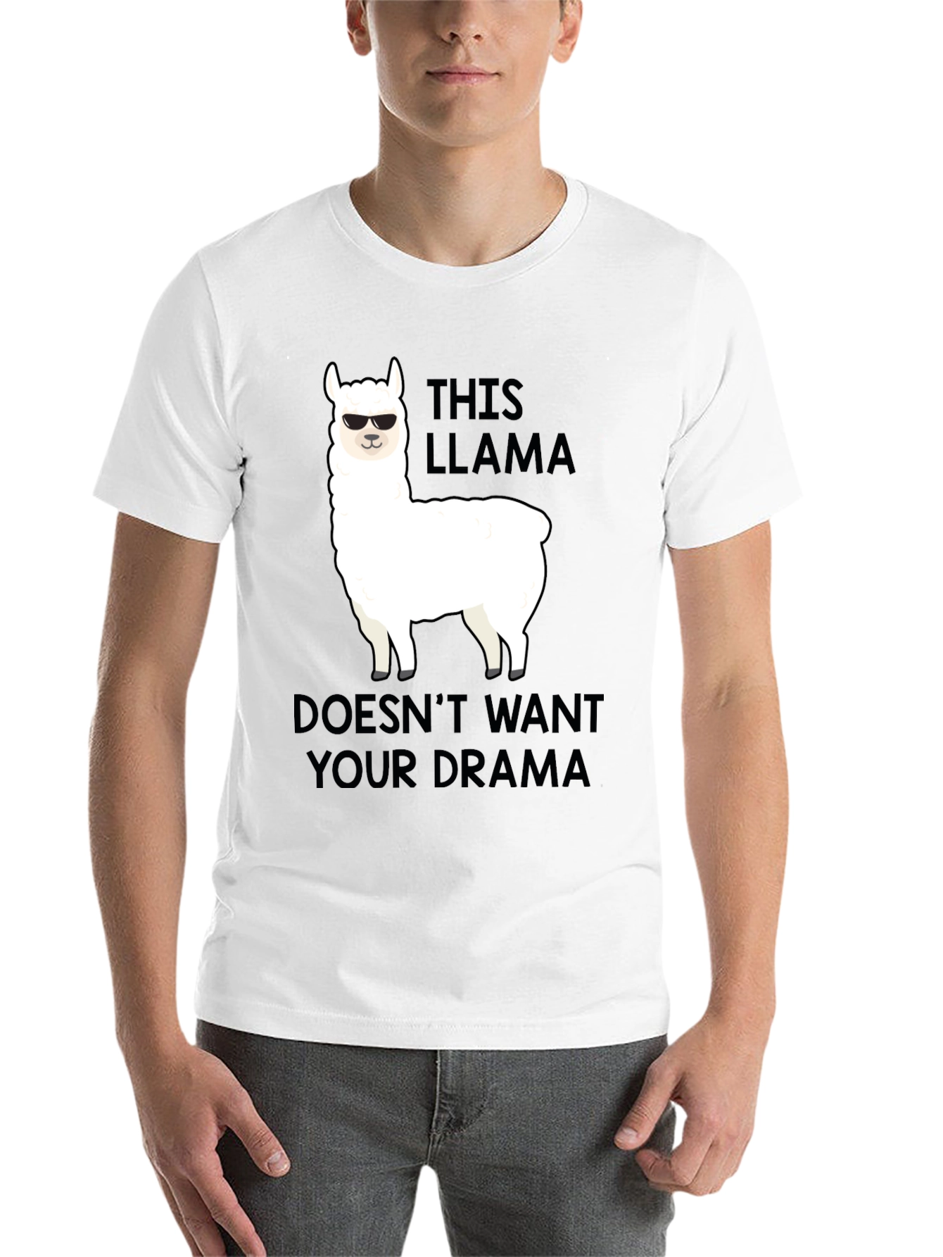 Black Llama Drama T-Shirt: Funny Graphic Tee for Men view 14