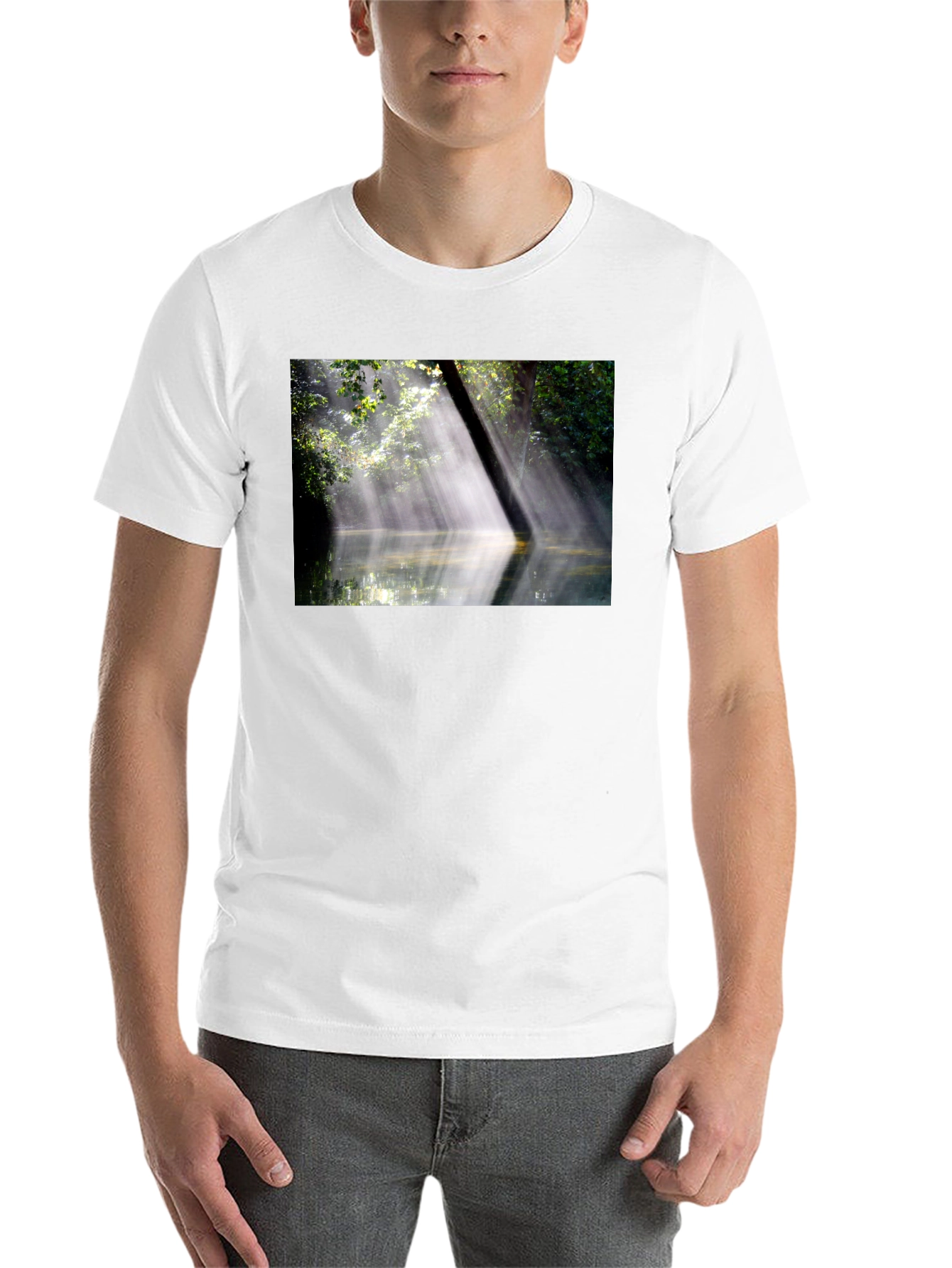 Black Nature's Embrace Tee - Sunlit Forest Design view 14