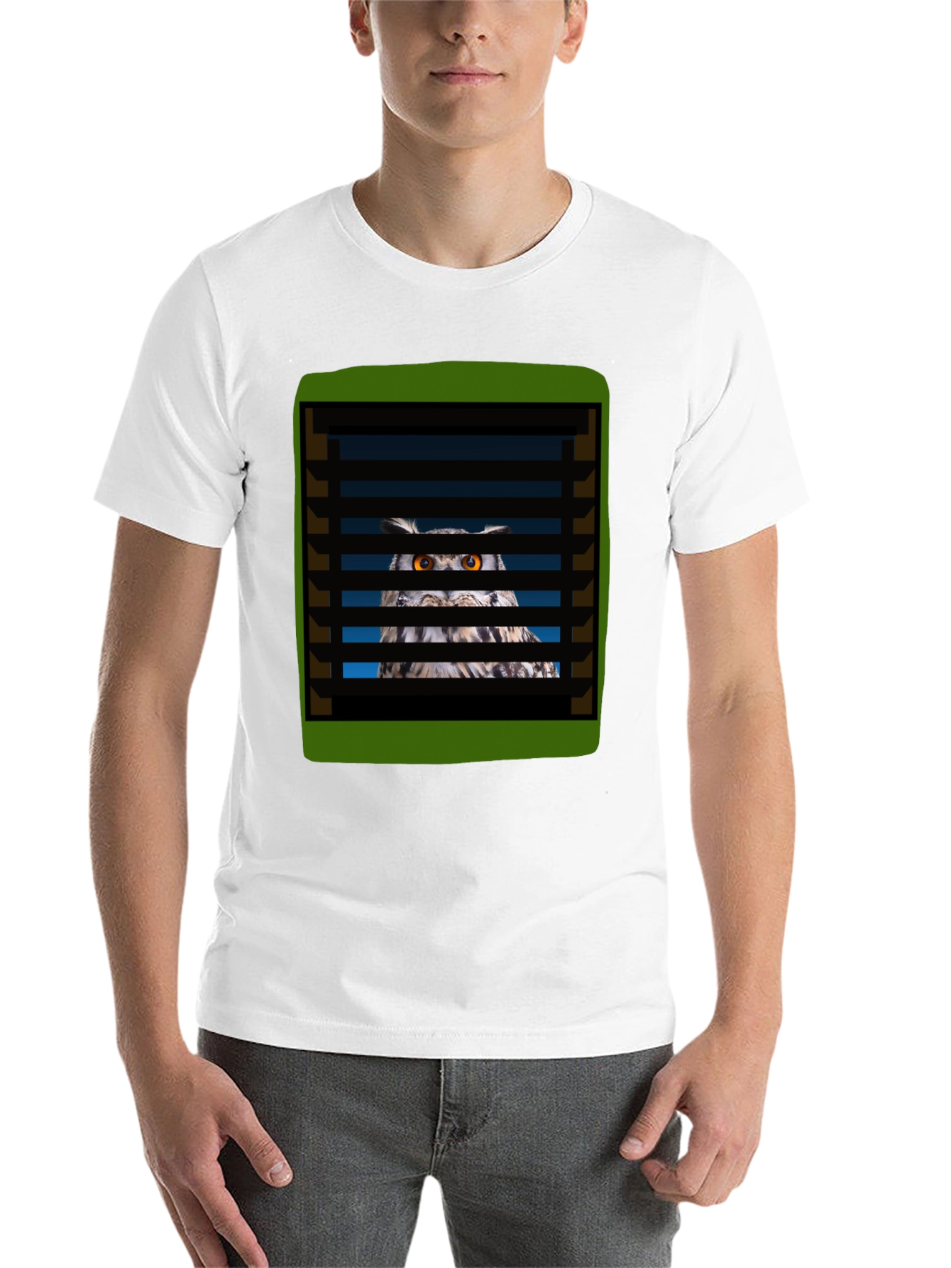 Black Owl Peeking Through Blinds Graphic T-Shirt view 14