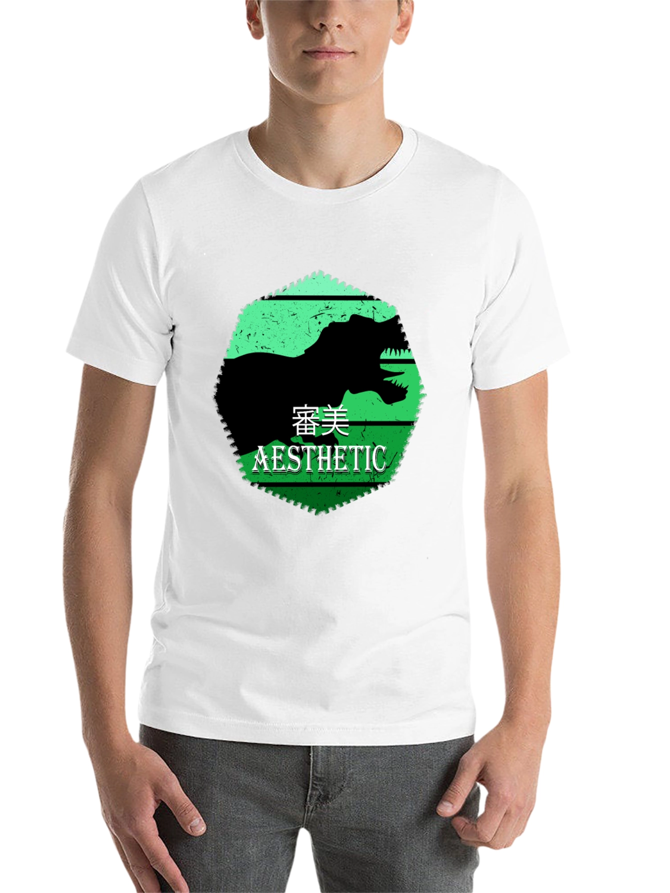Black Aesthetic Dinosaur Graphic Tee view 14
