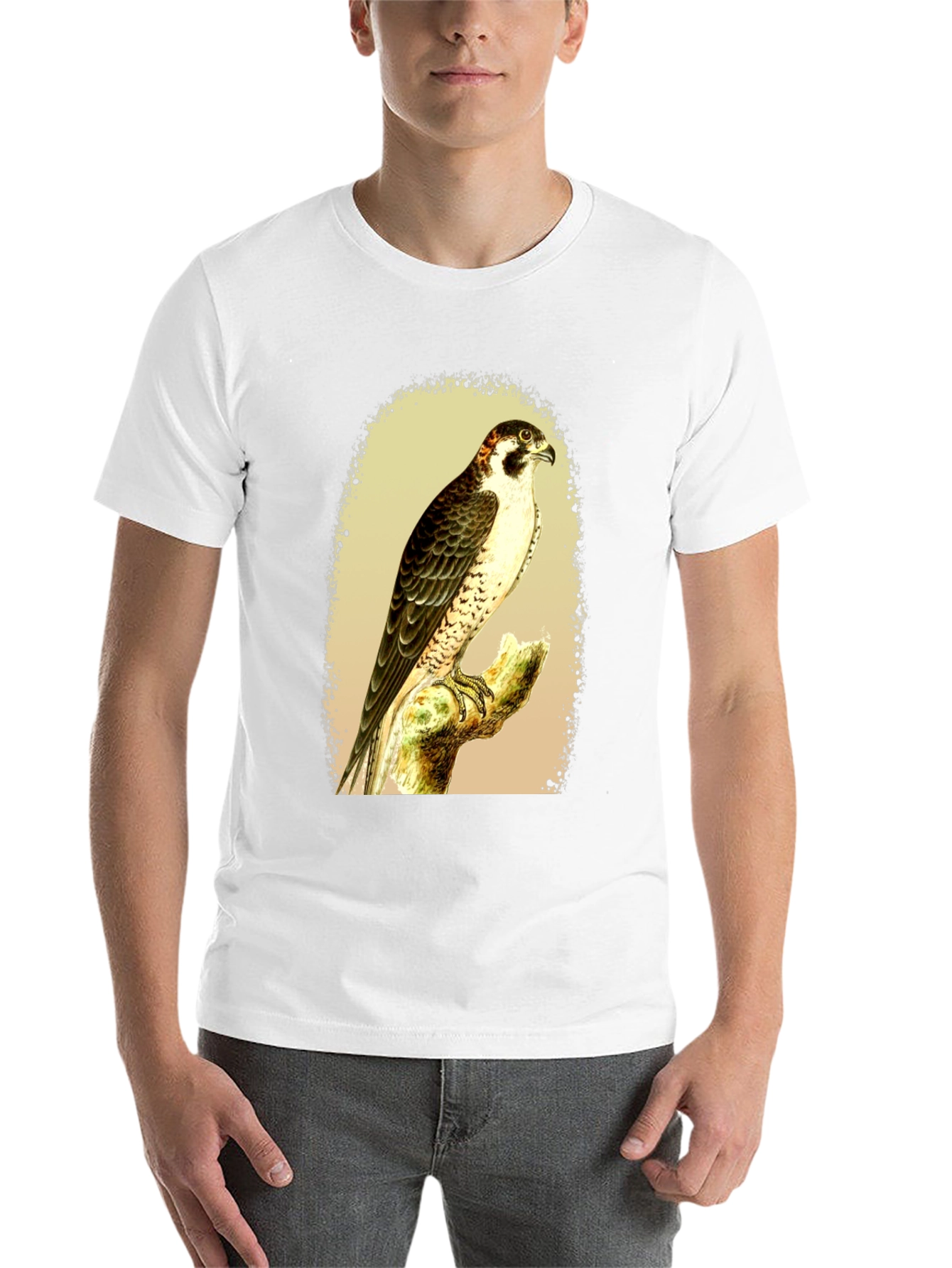 Black Falcon Graphic Tee - Vintage Bird Illustration T-Shirt view 14
