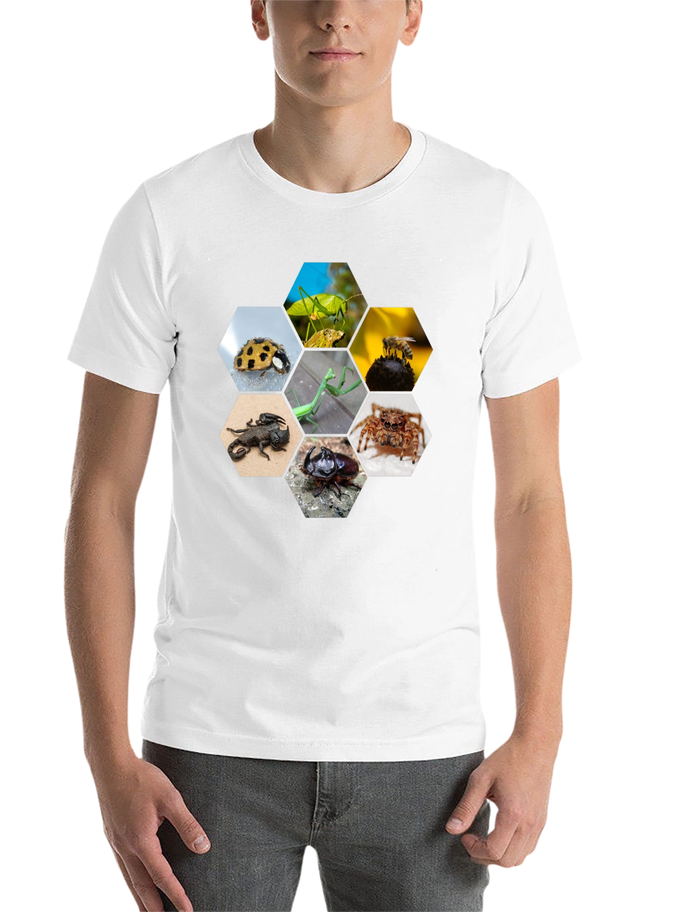 Black Insect Hexagon T-Shirt - Unique Nature Design view 14