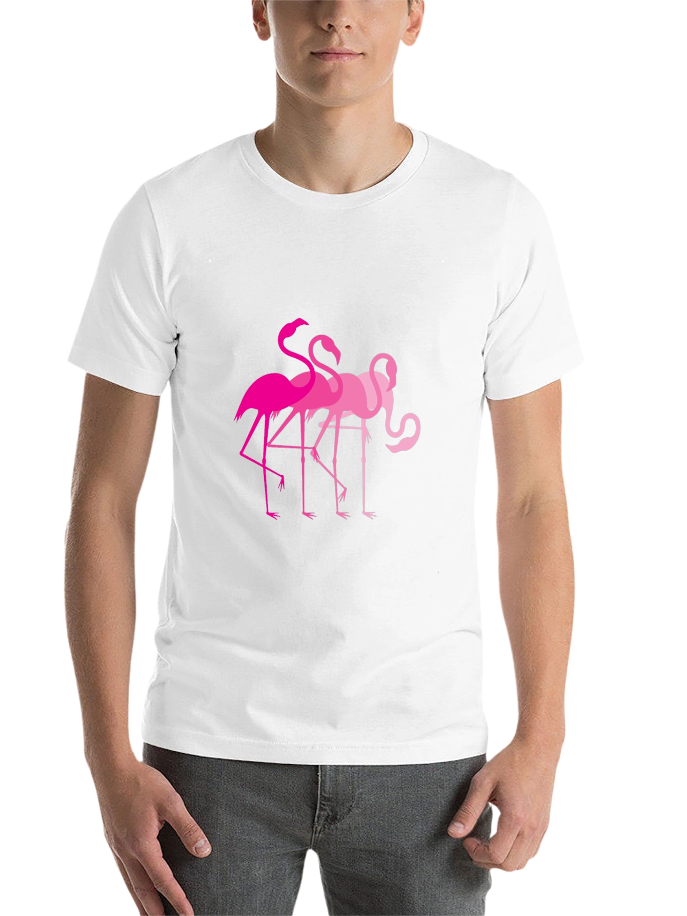 Black Flamingo Graphic Tee - Black Cotton T-Shirt view 14