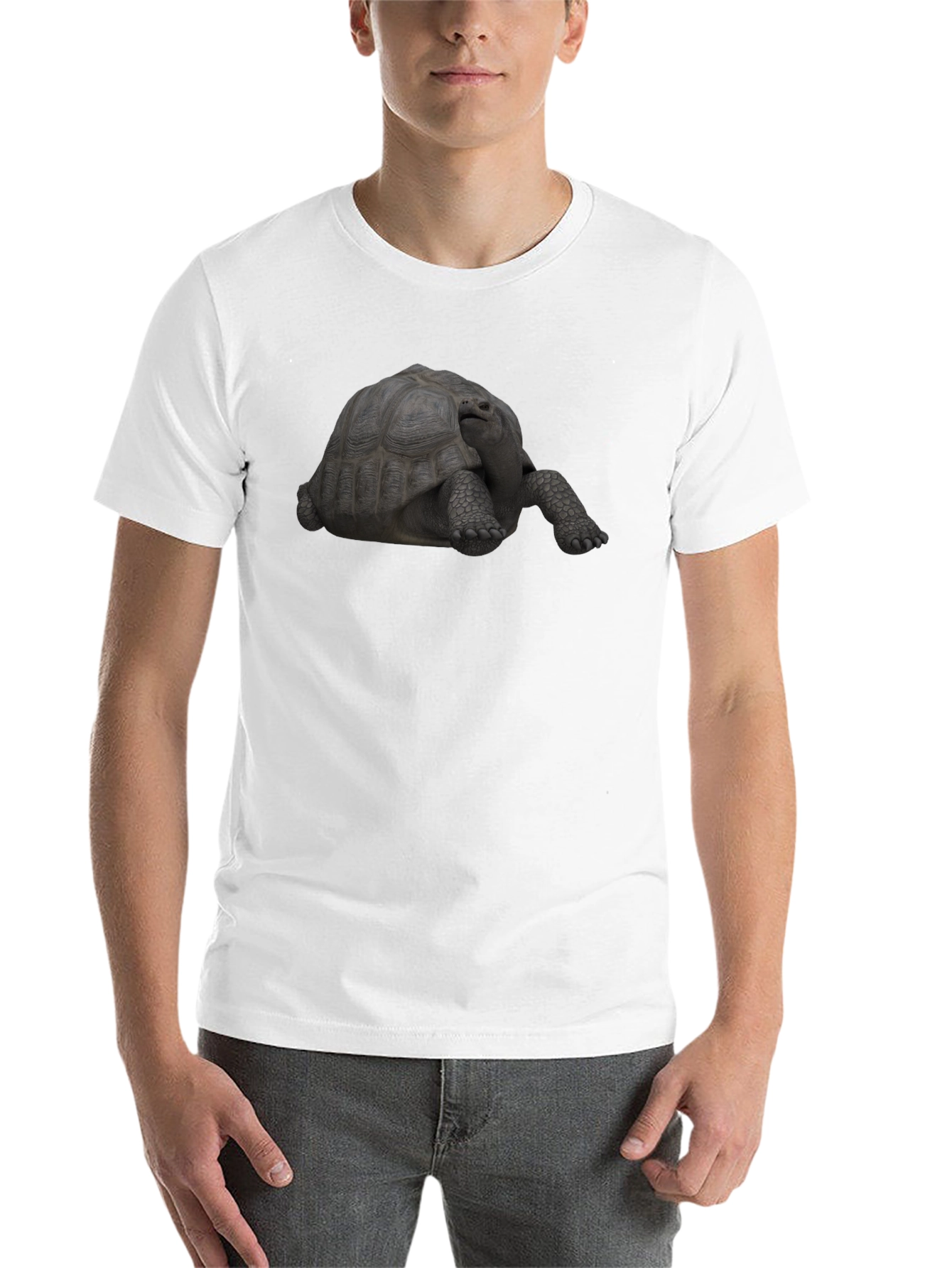 Black Tortoise Graphic Tee - Black Casual T-Shirt view 14