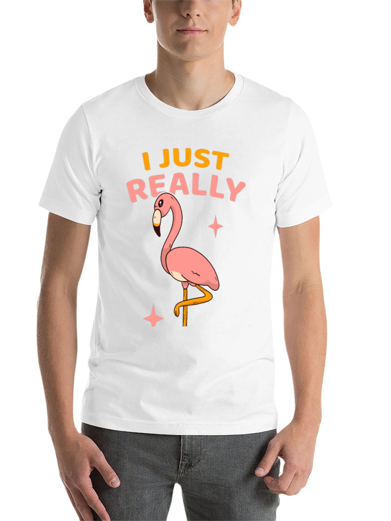 Black Flamingo Graphic T-Shirt - "I Just Really Like Flamingos" view 14