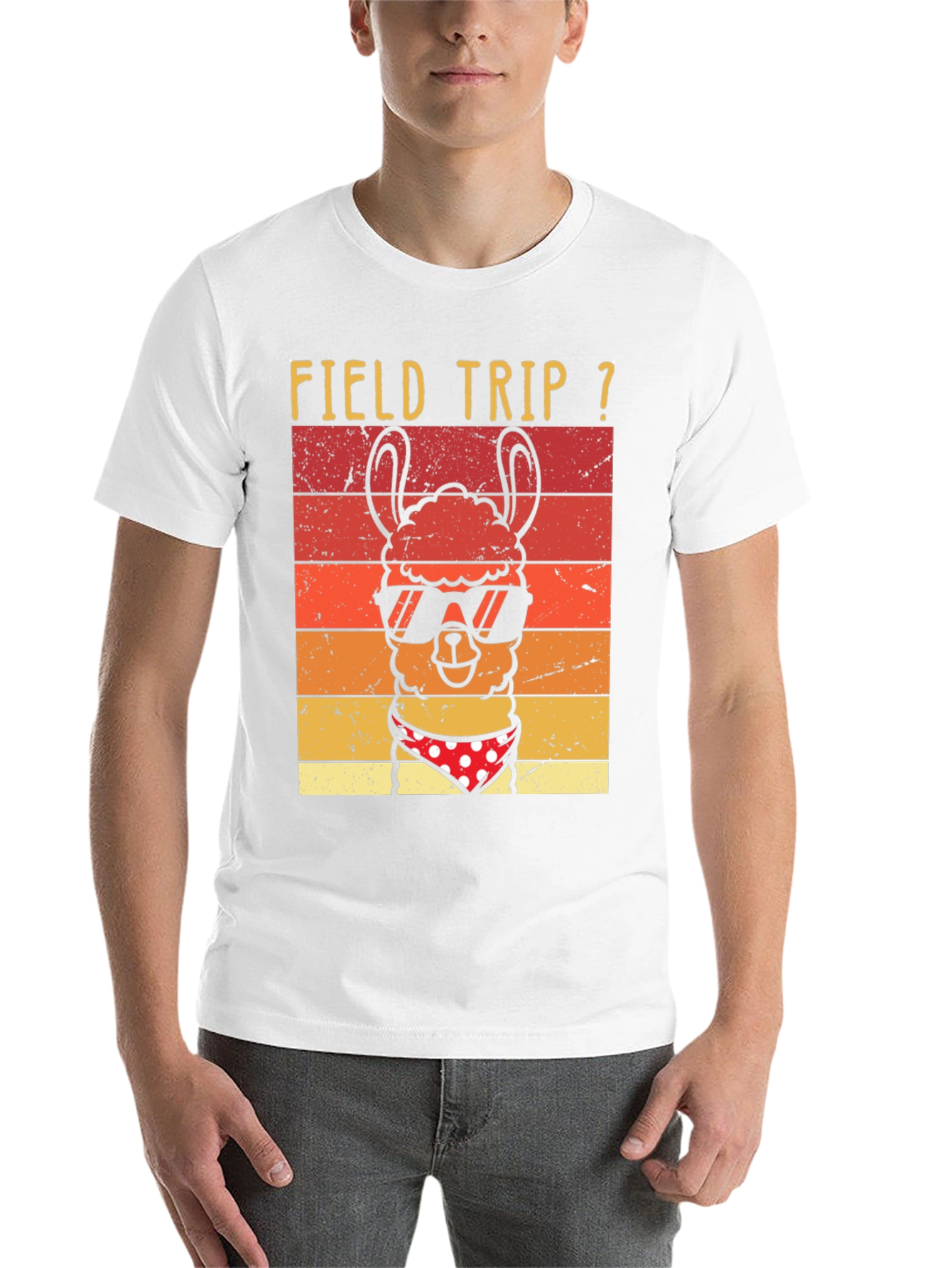 Black Field Trip Llama T-Shirt view 14